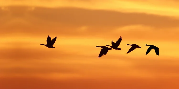 The Secret Formula to Great Leadership