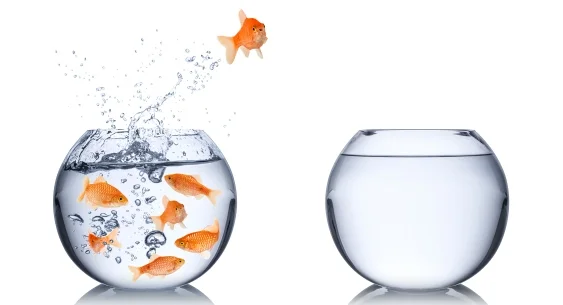 The Rise of Executive Coaching