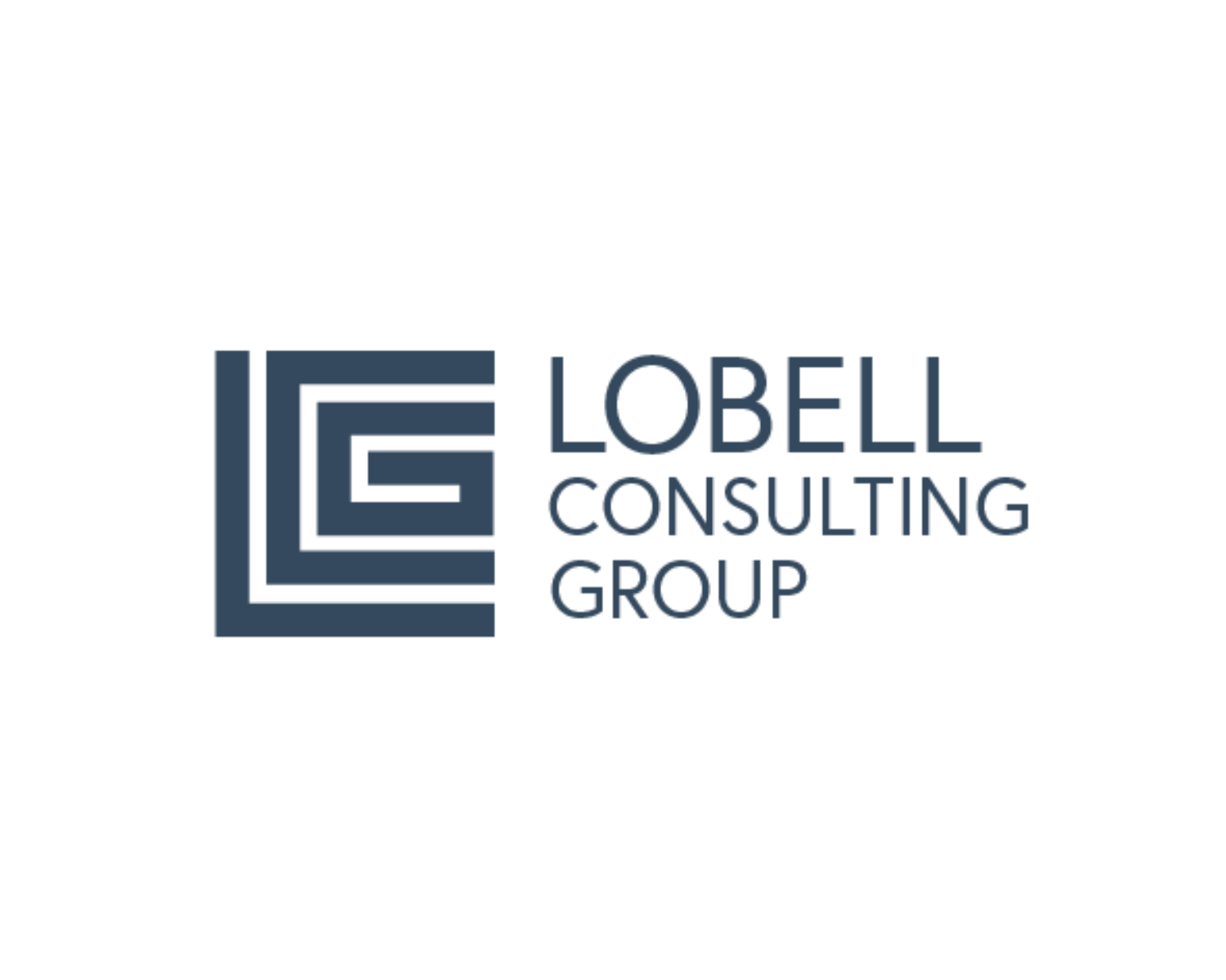 Lobell Consulting Group Client Image.png