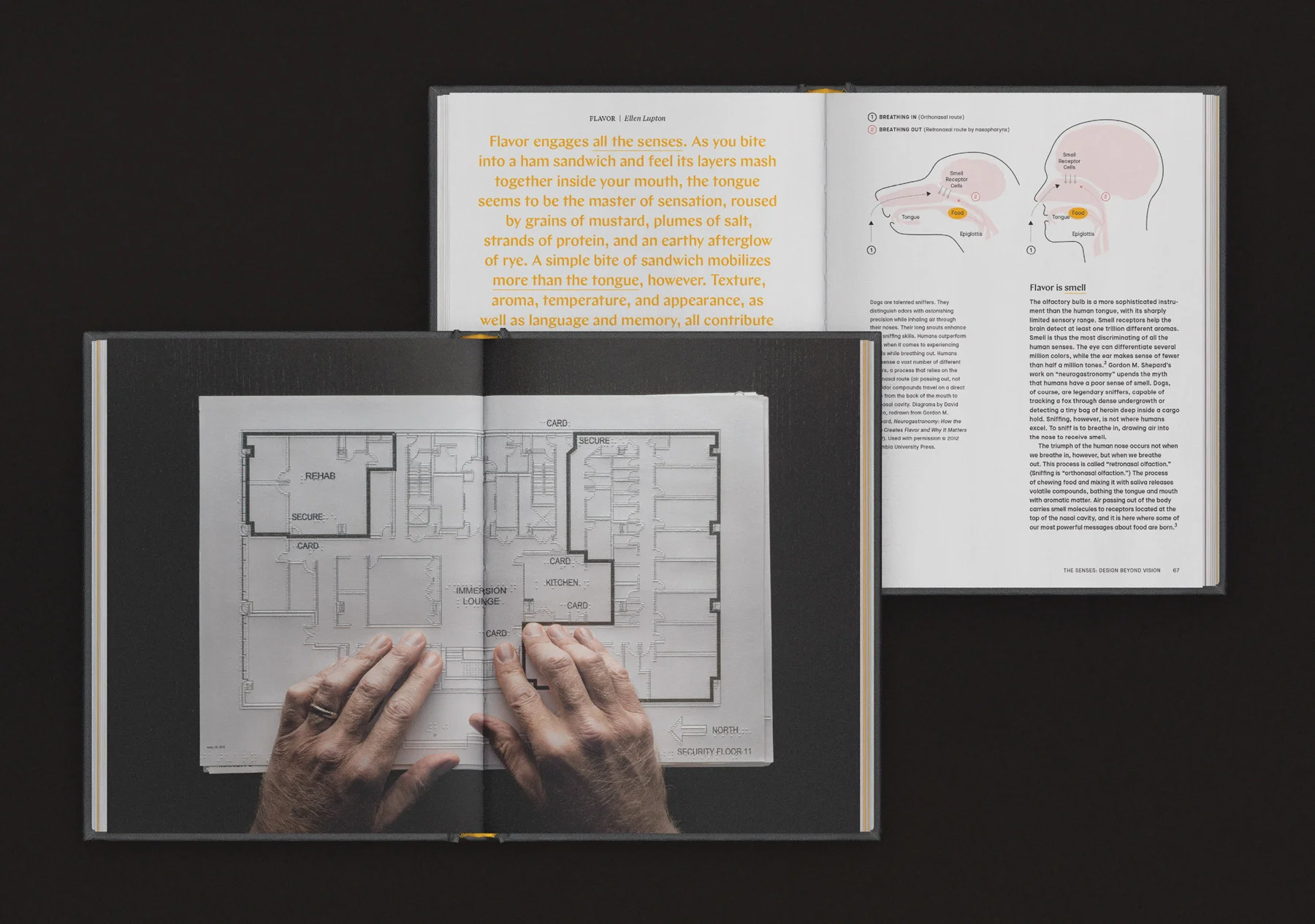 TheSenses_Book_1.jpg