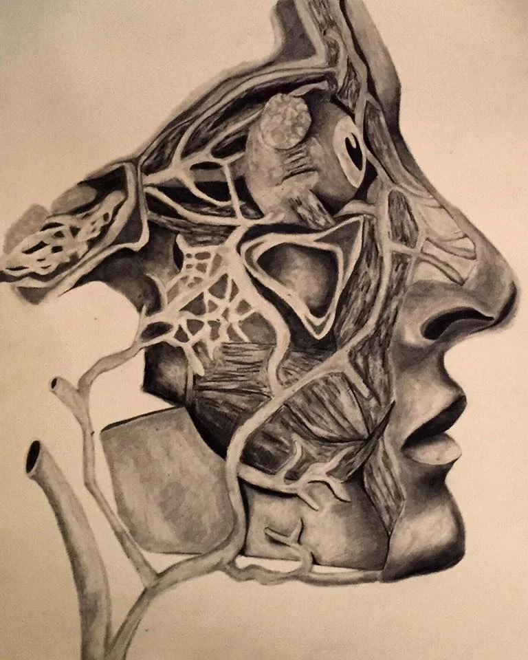 Facial Features