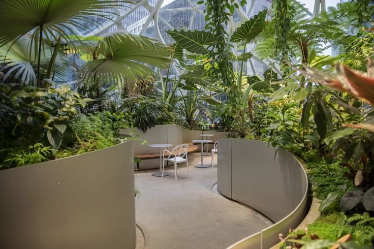 Inside the Amazon Spheres_ The plants, the architecture, and a transforming city.jpeg
