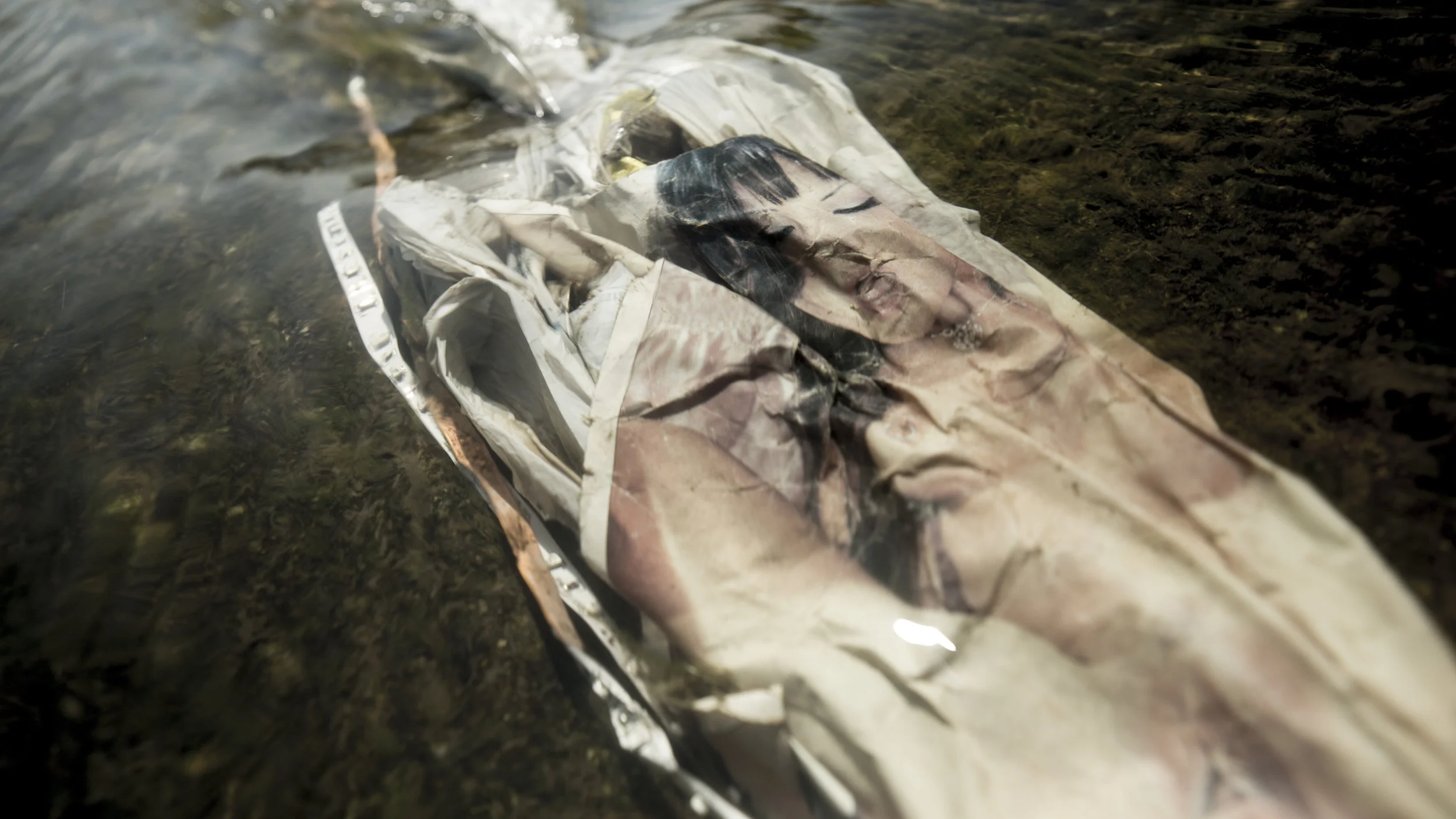 WET DREAMS