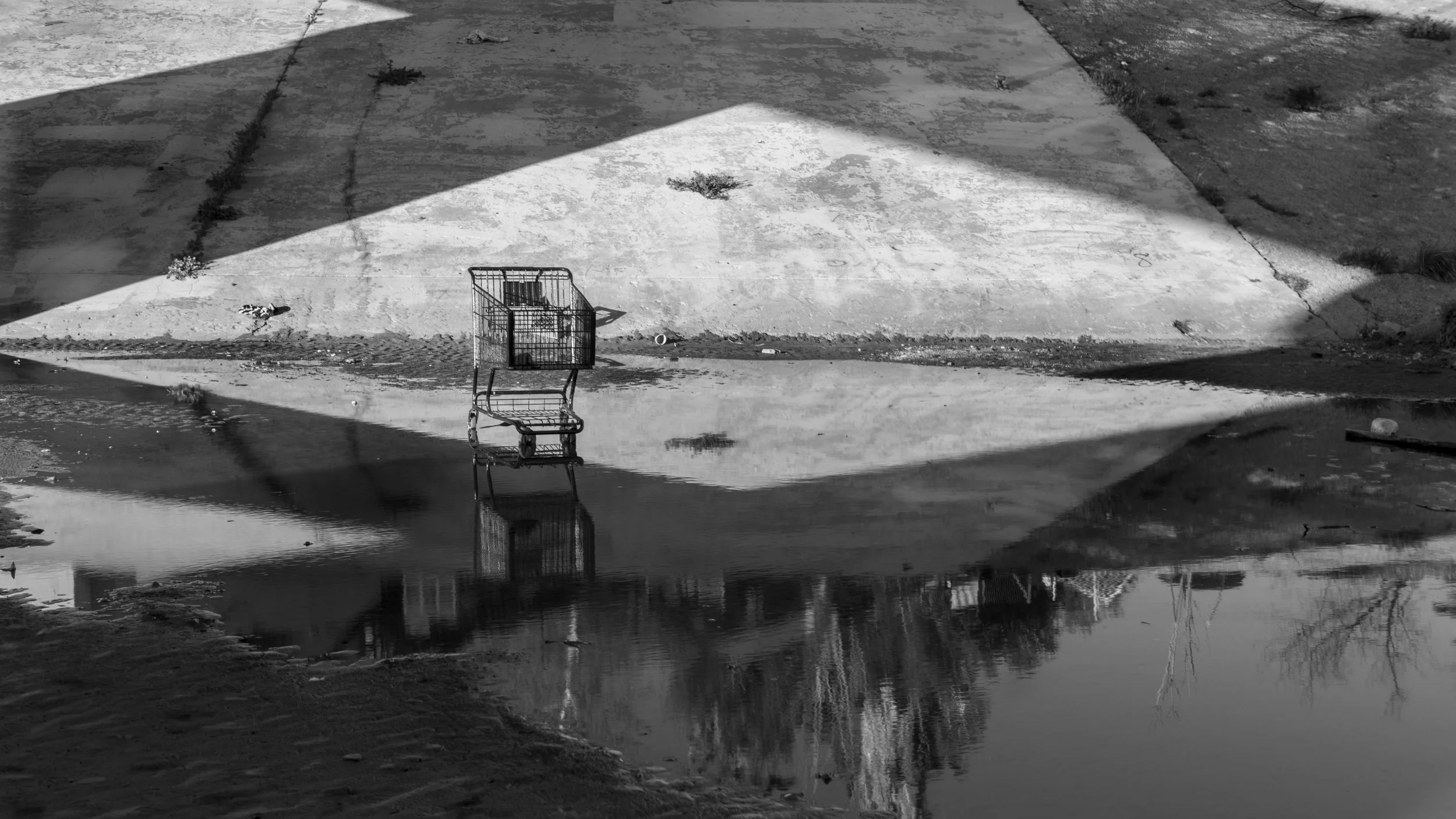 SHOPPING CART