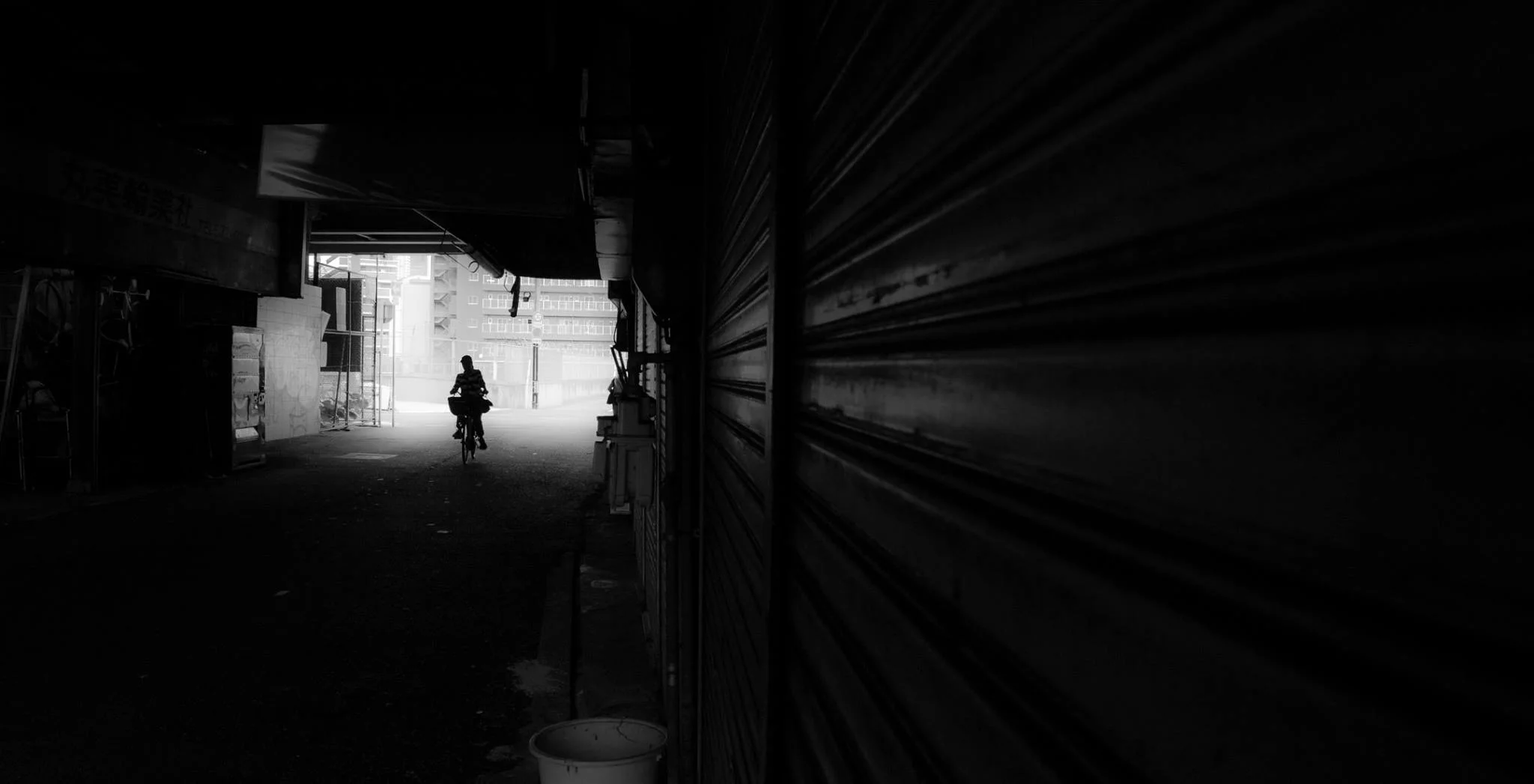 VOYAGE THROUGH THE MIST
