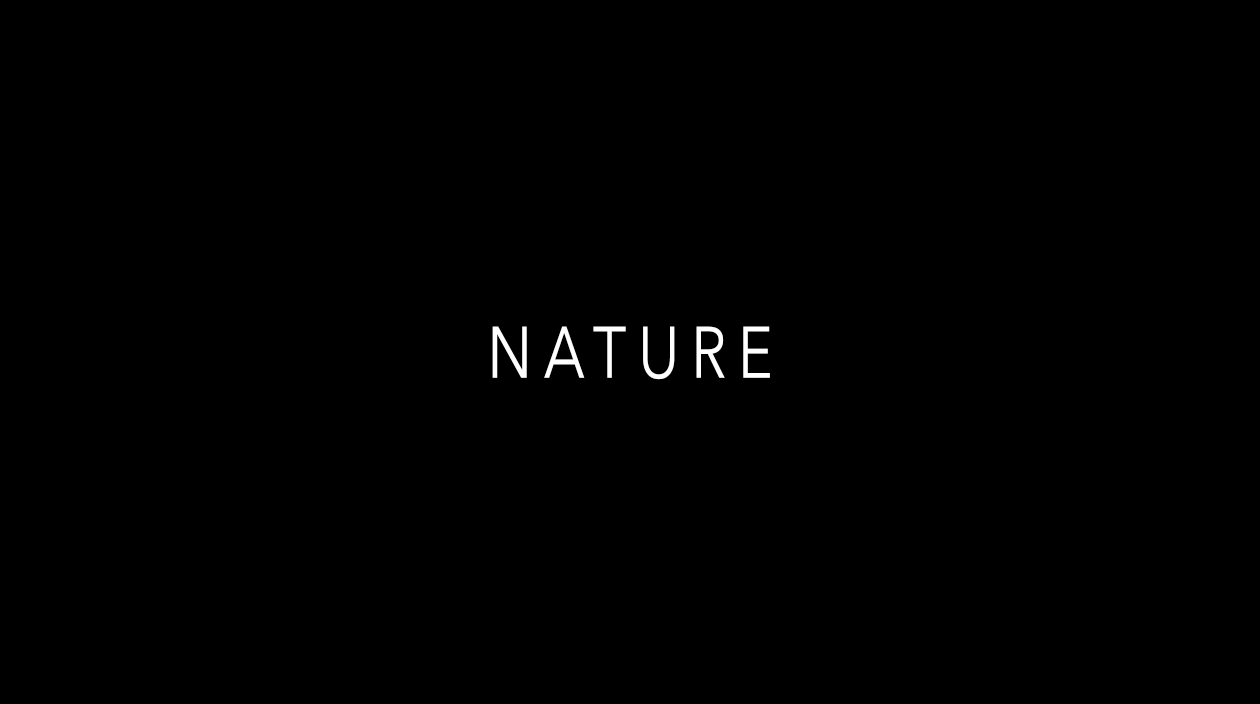 NATURE.png