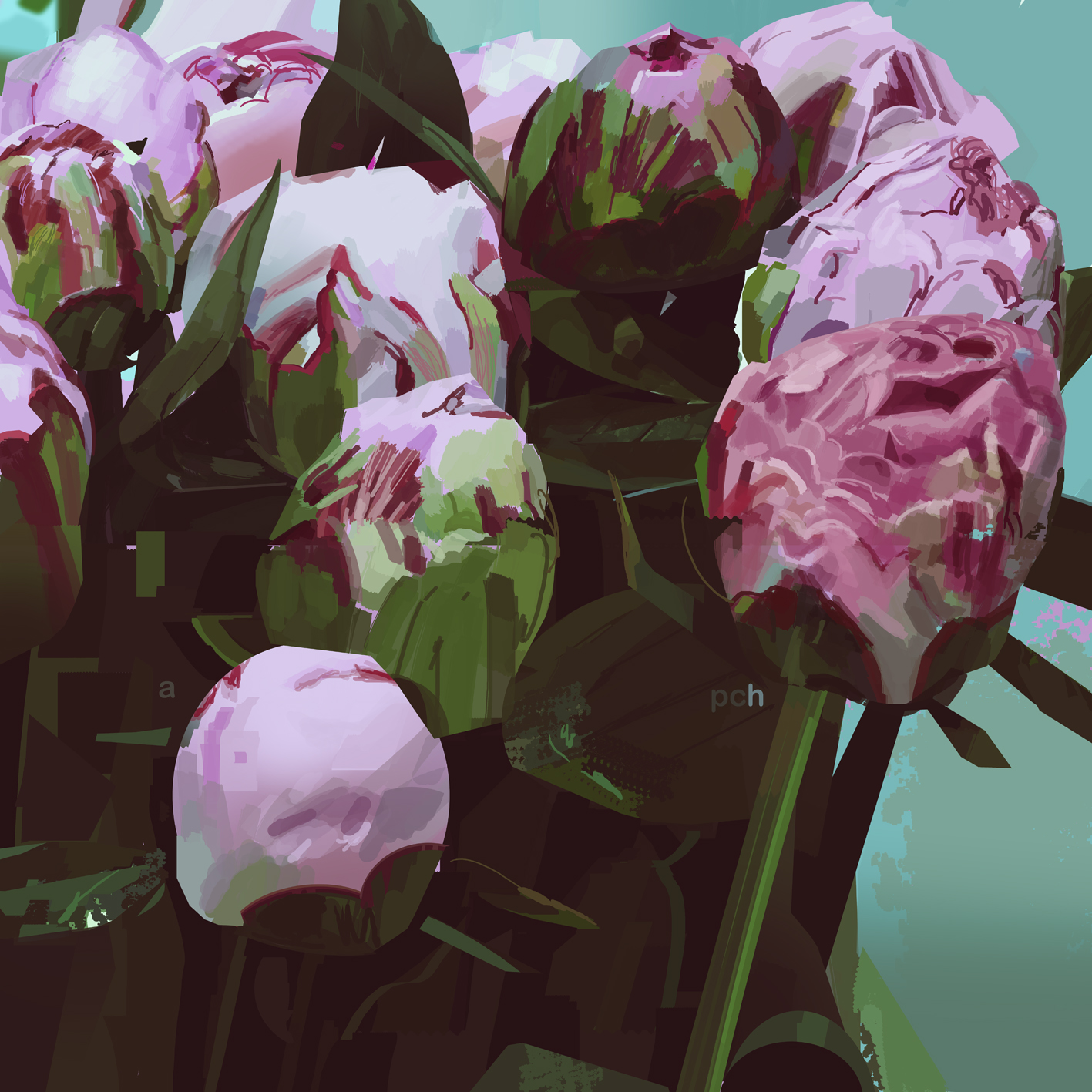 Peonies