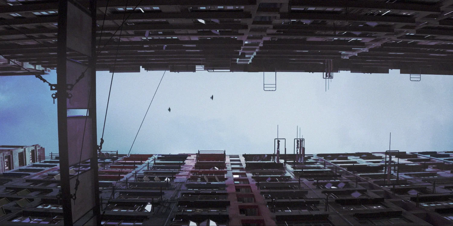 The Witness — +