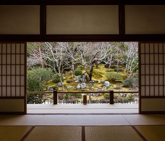 View from the Tenryū-ji in Kyoto,Japan

#kyoto #kyotojapan #photography #garden #view #temple #tenryuji #window #tree #canonphotography #canon #japanphotography