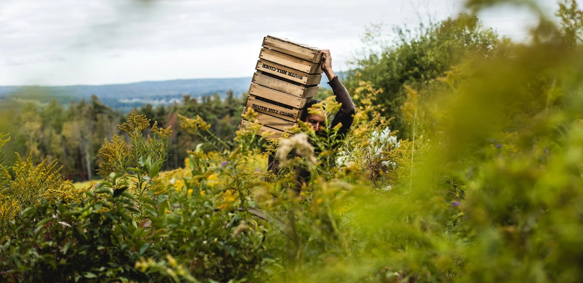 steve+carrying+bushel+crates_resized.jpg