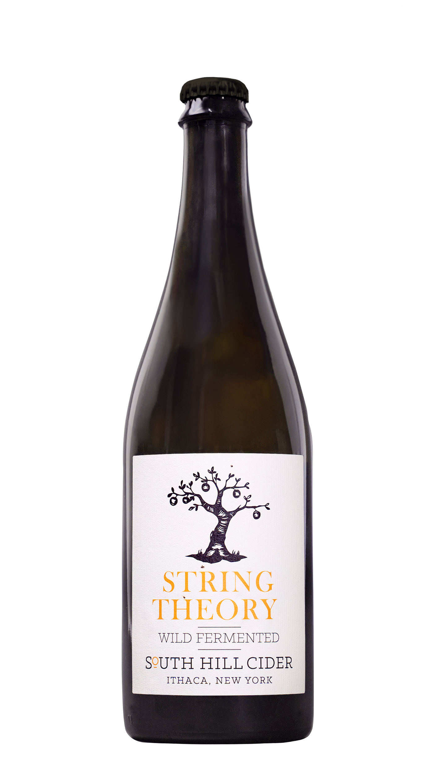 Glass bottle of South Hill Cider's String Theory wild fermented cider with a tree logo on the label.