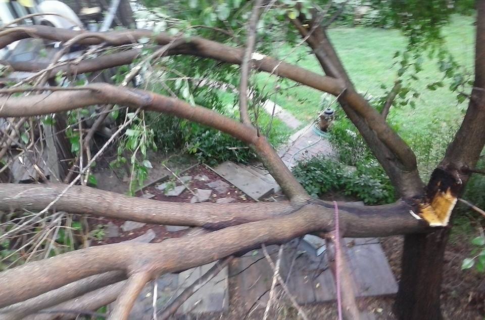 Tree service in lincoln ne storm damage.jpg