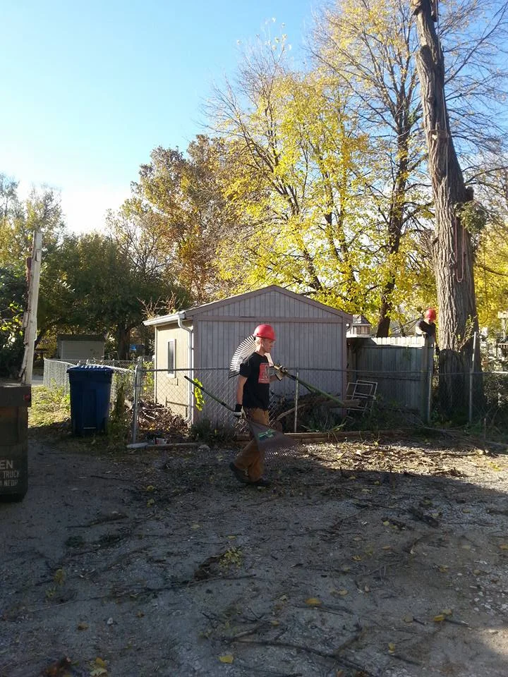 Lincoln nebraska tree service Elm 3.jpg