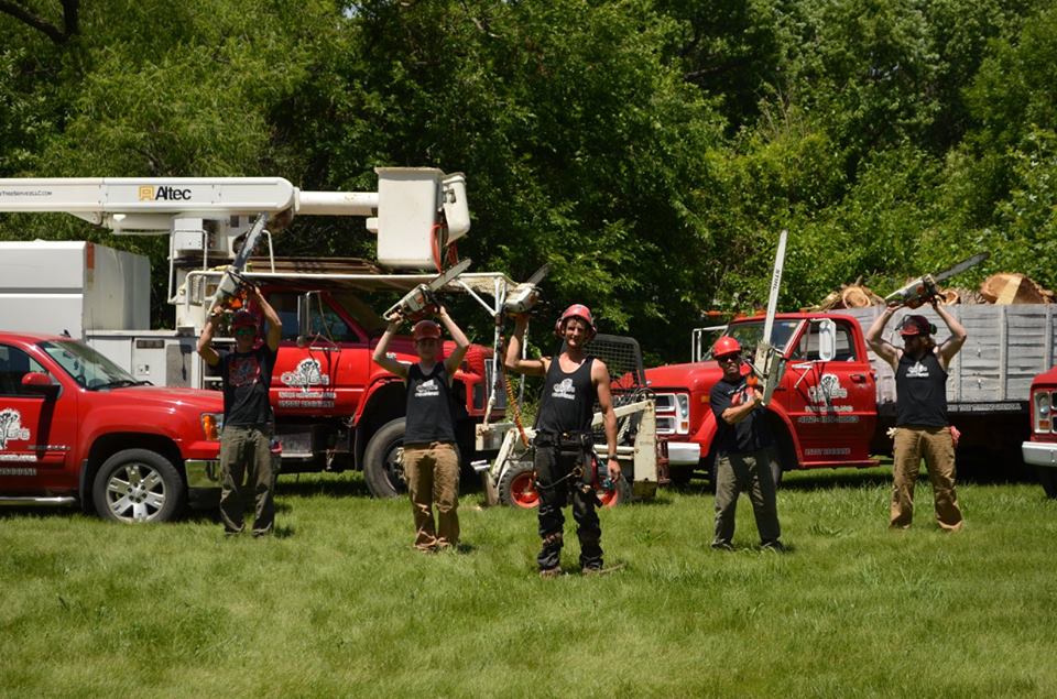 tree service lincoln arborist service 8.jpg