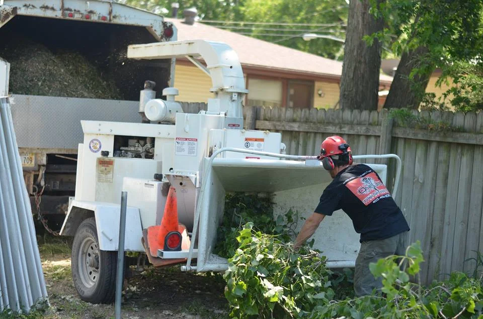 tree service lincoln arborist service 9991.jpg
