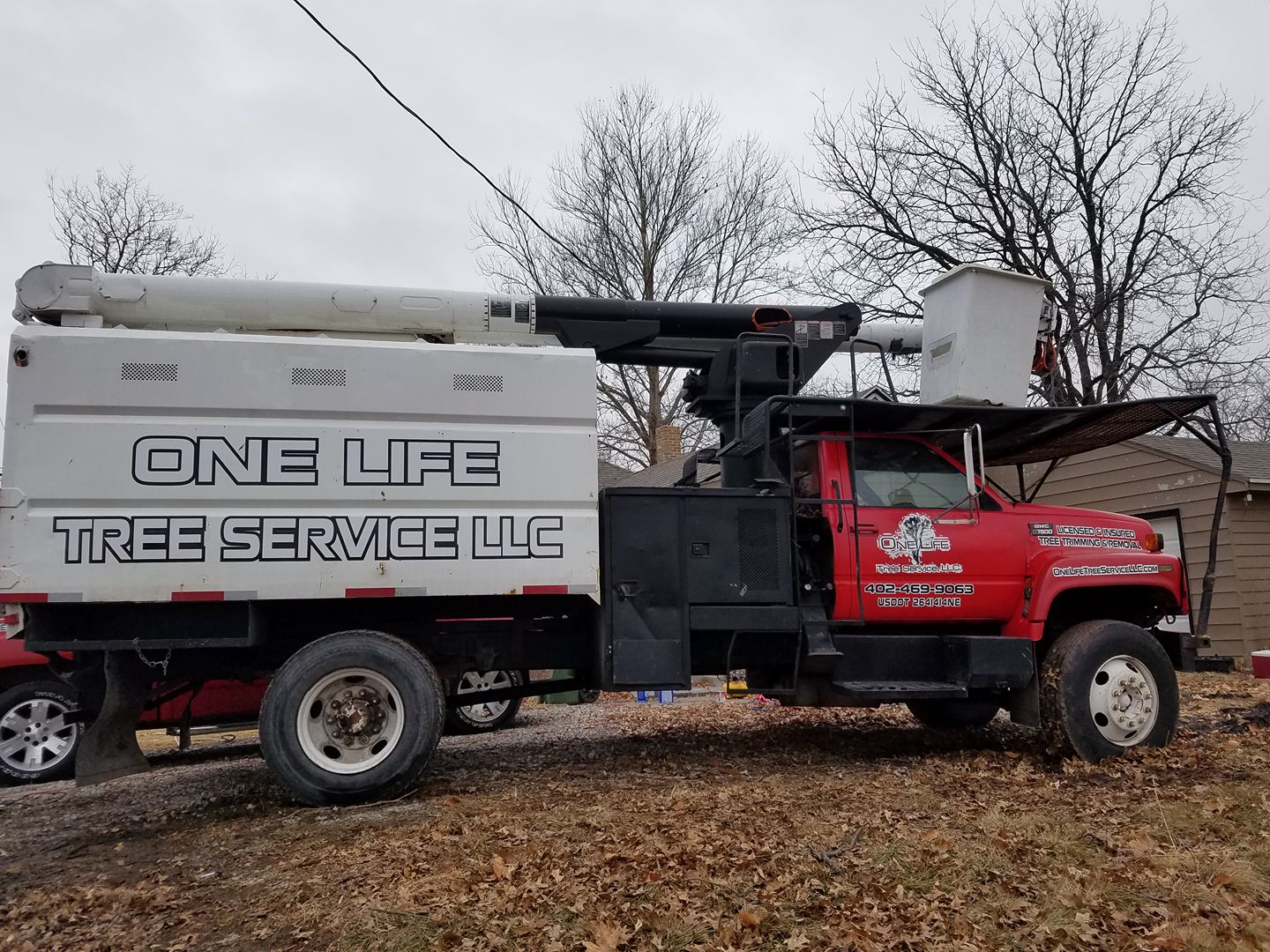 Tree service in lincoln nebraska 5655.jpg