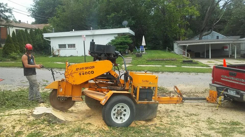 Stump grinding lincoln ne arborist.jpg