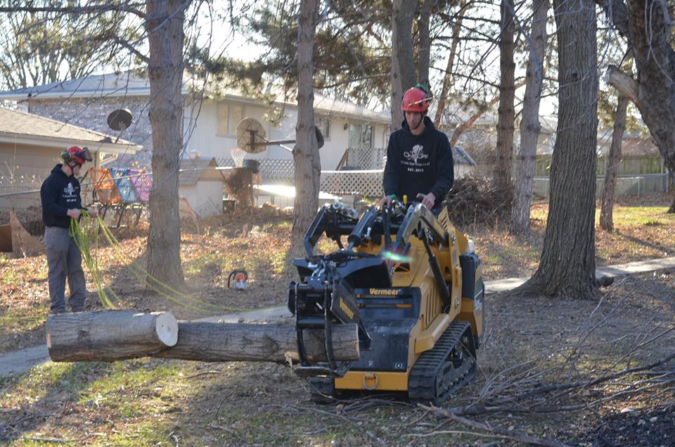 tree service lincoln ne 2.jpg