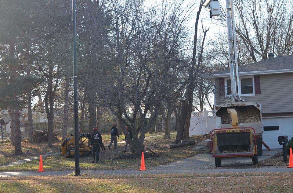 tree service lincoln ne 3.jpg