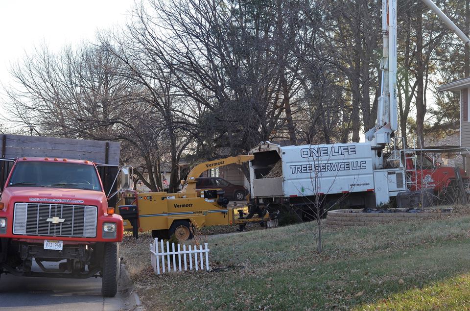 tree service lincoln ne 7.jpg