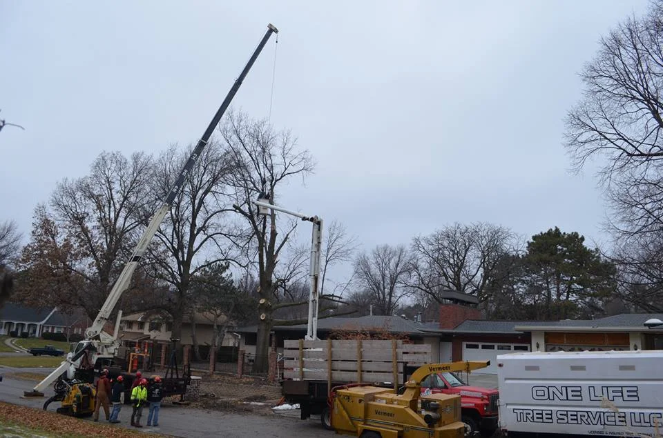 Best Tree Service In Lincoln Nebraska 6.jpg