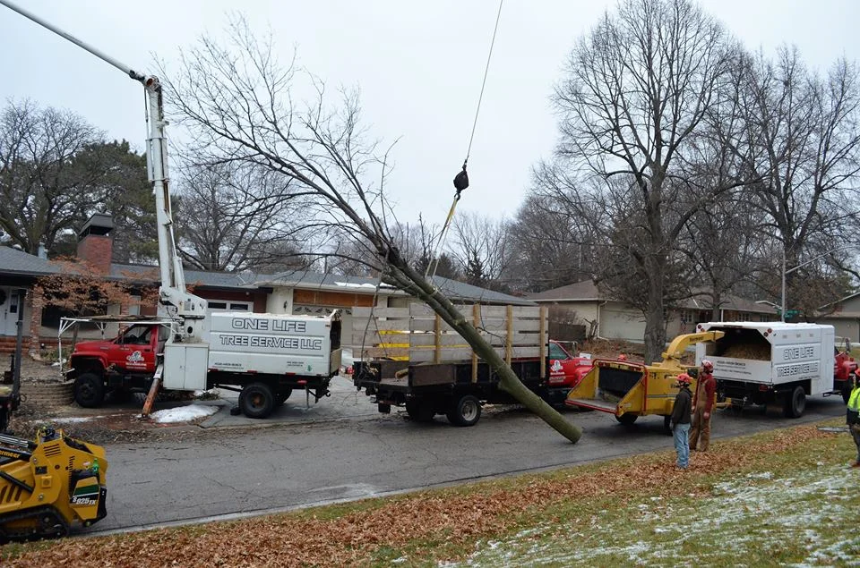 Best Tree Service In Lincoln Nebraska 10.jpg