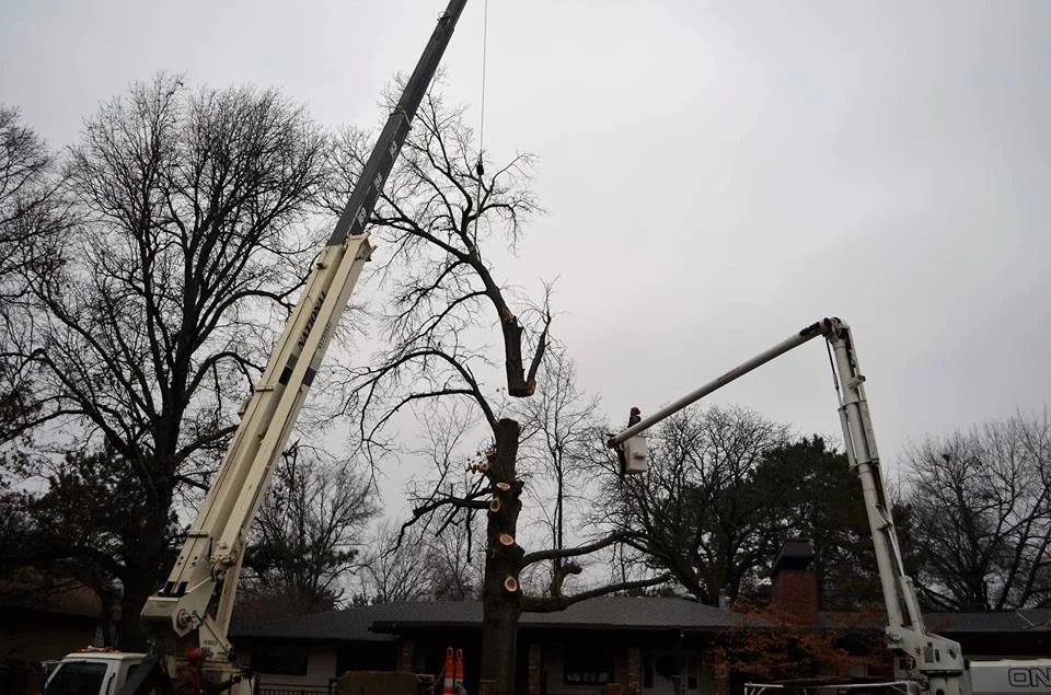 Best Tree Service In Lincoln Nebraska 11.jpg
