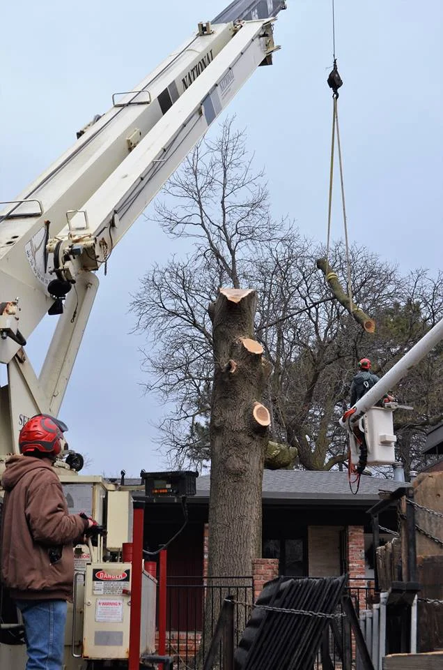 Best Tree Service In Lincoln Nebraska 20.jpg