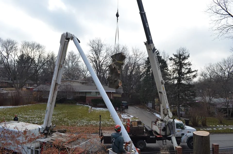 Best Tree Service In Lincoln Nebraska 29.jpg