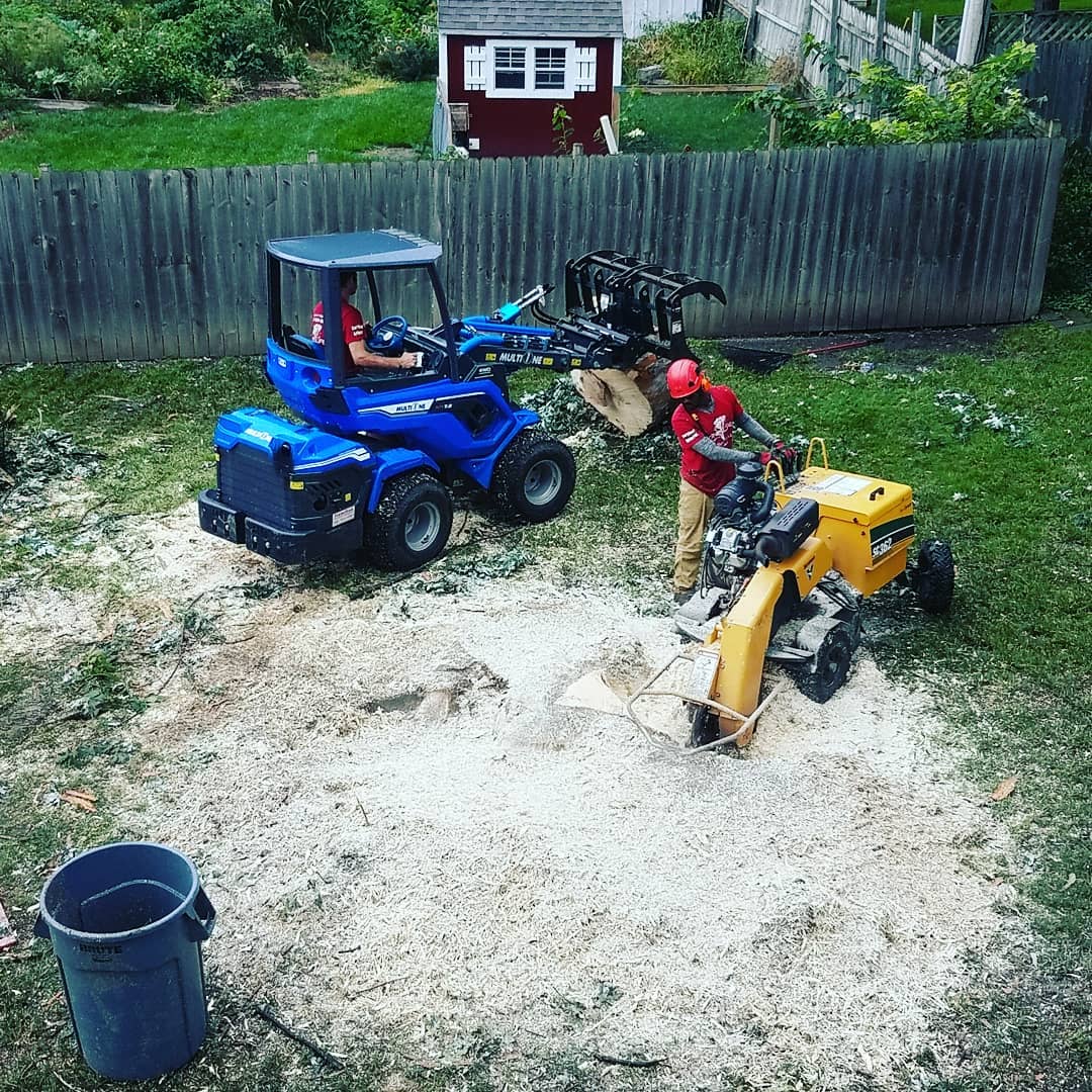 Lincoln Nebraska Tree Trimming.jpg