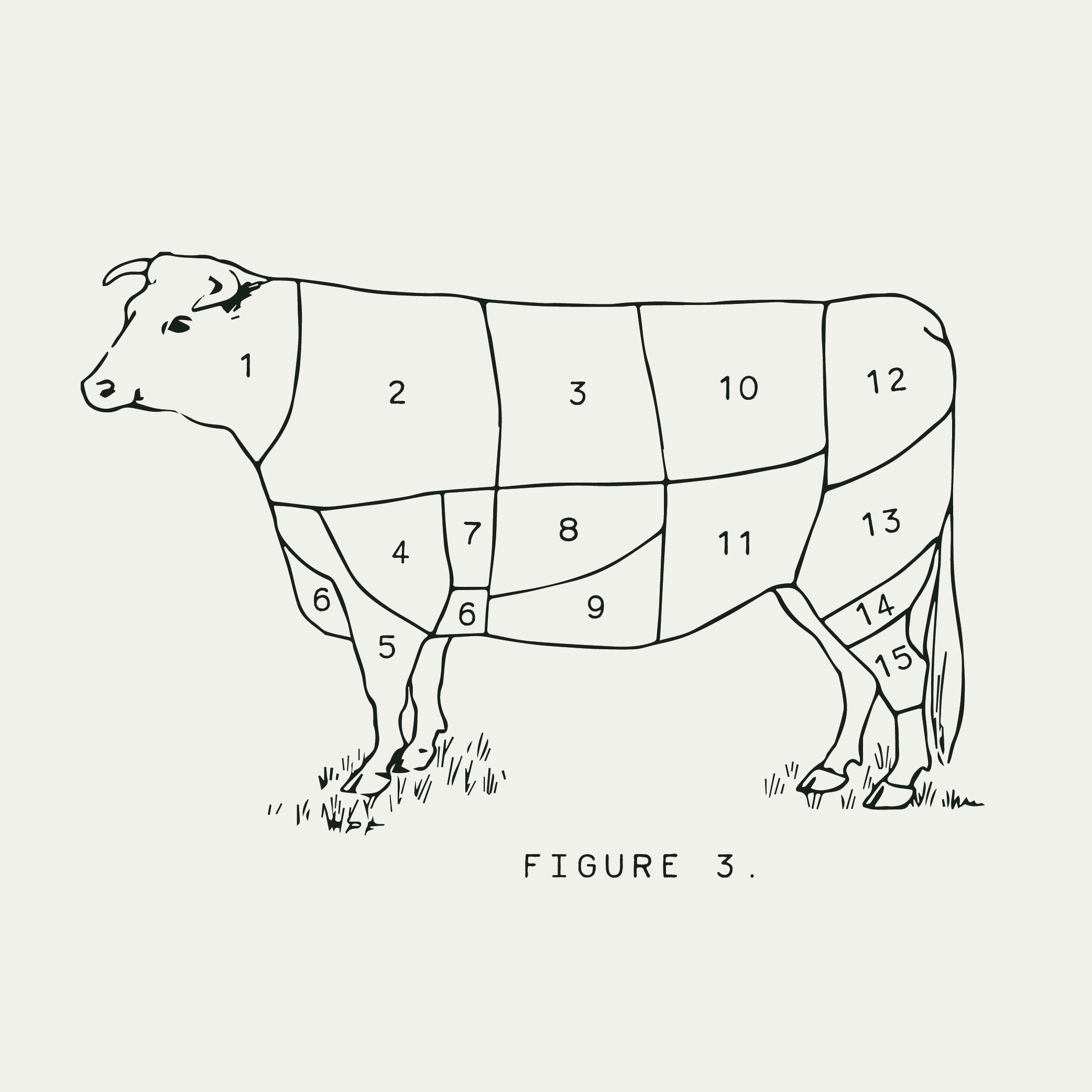 loma-font-explore-square-06.png