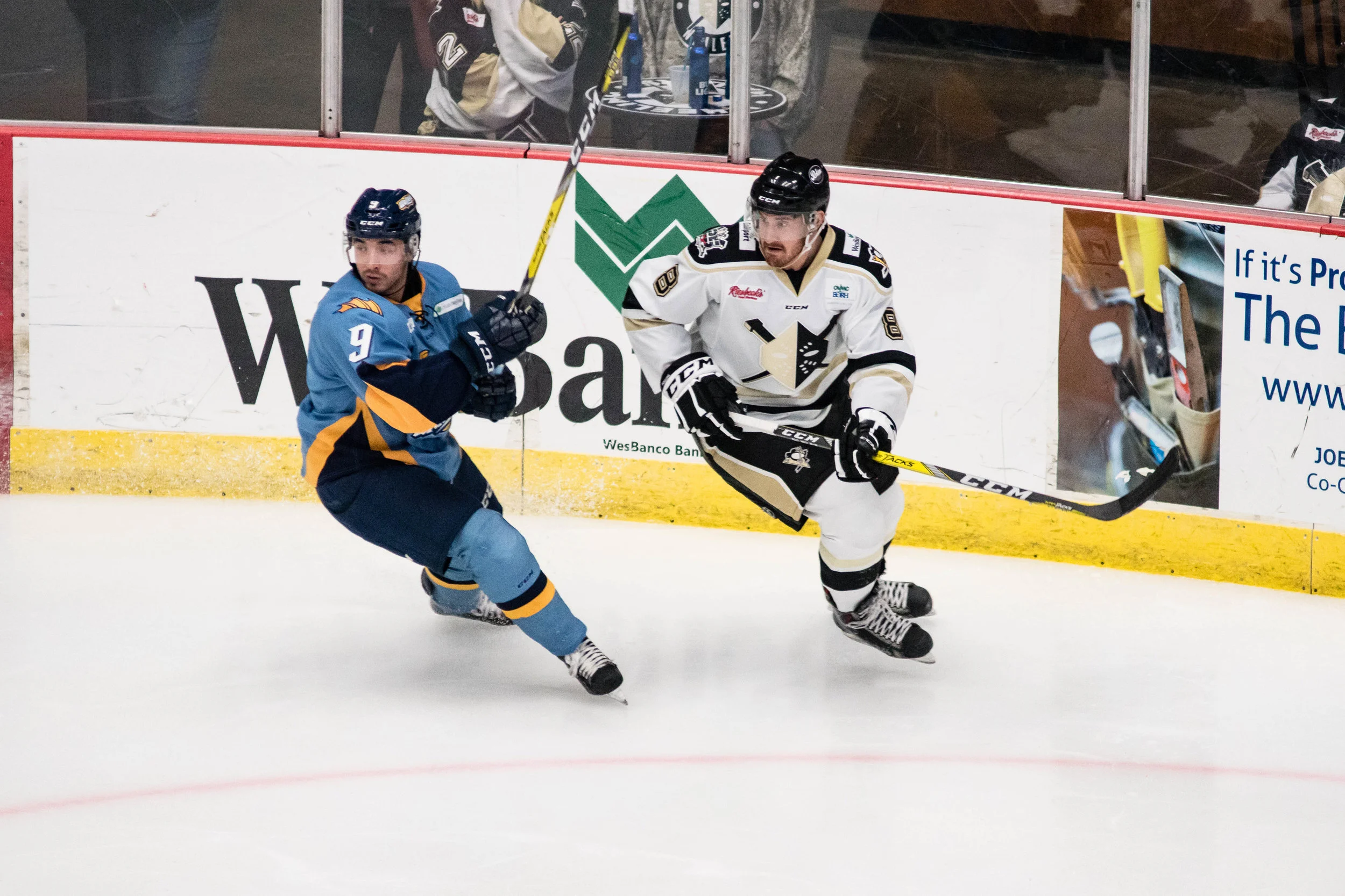 Nailers_Walleye_11-4-16-58.JPG