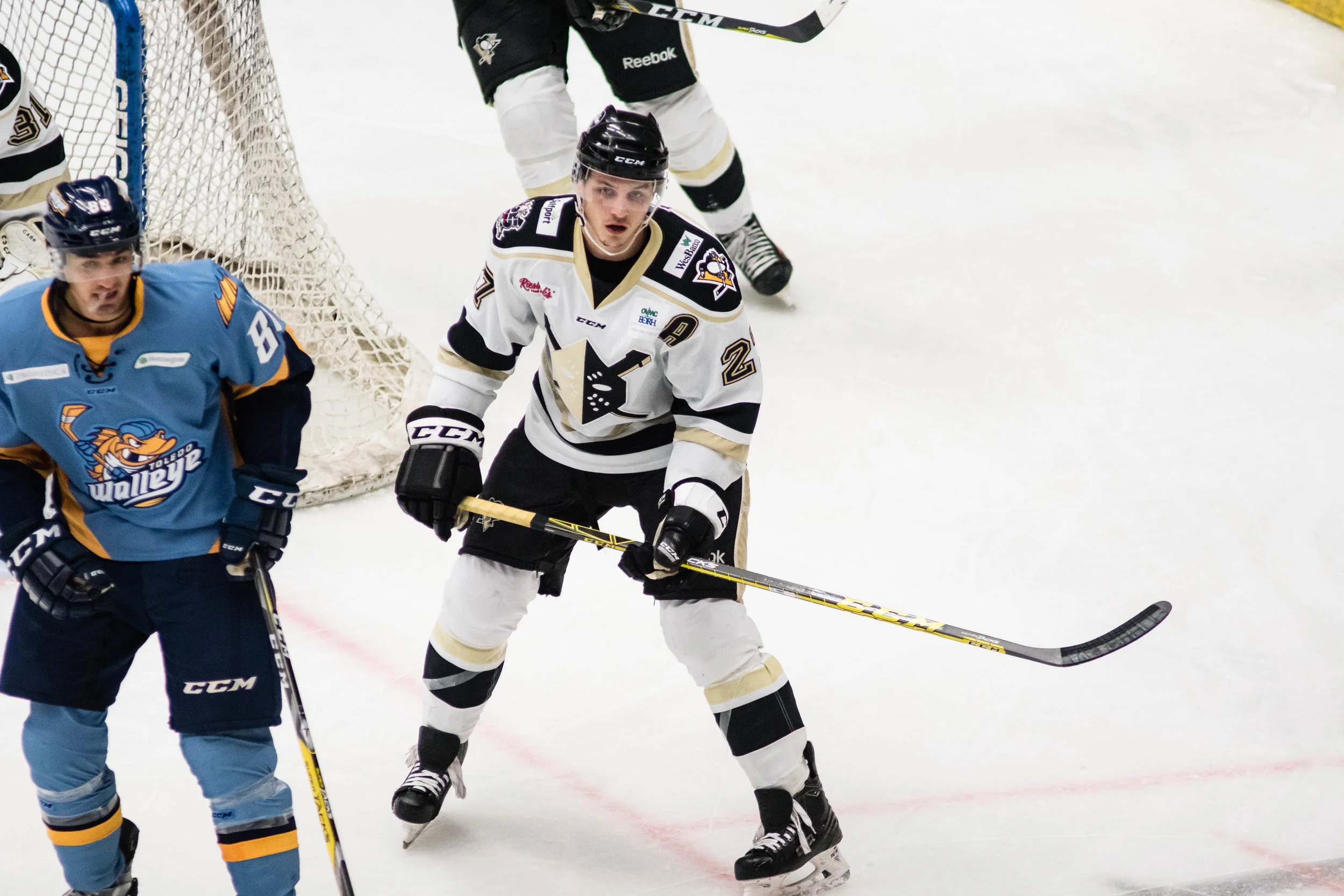 Nailers_Walleye_11-4-16-69.JPG
