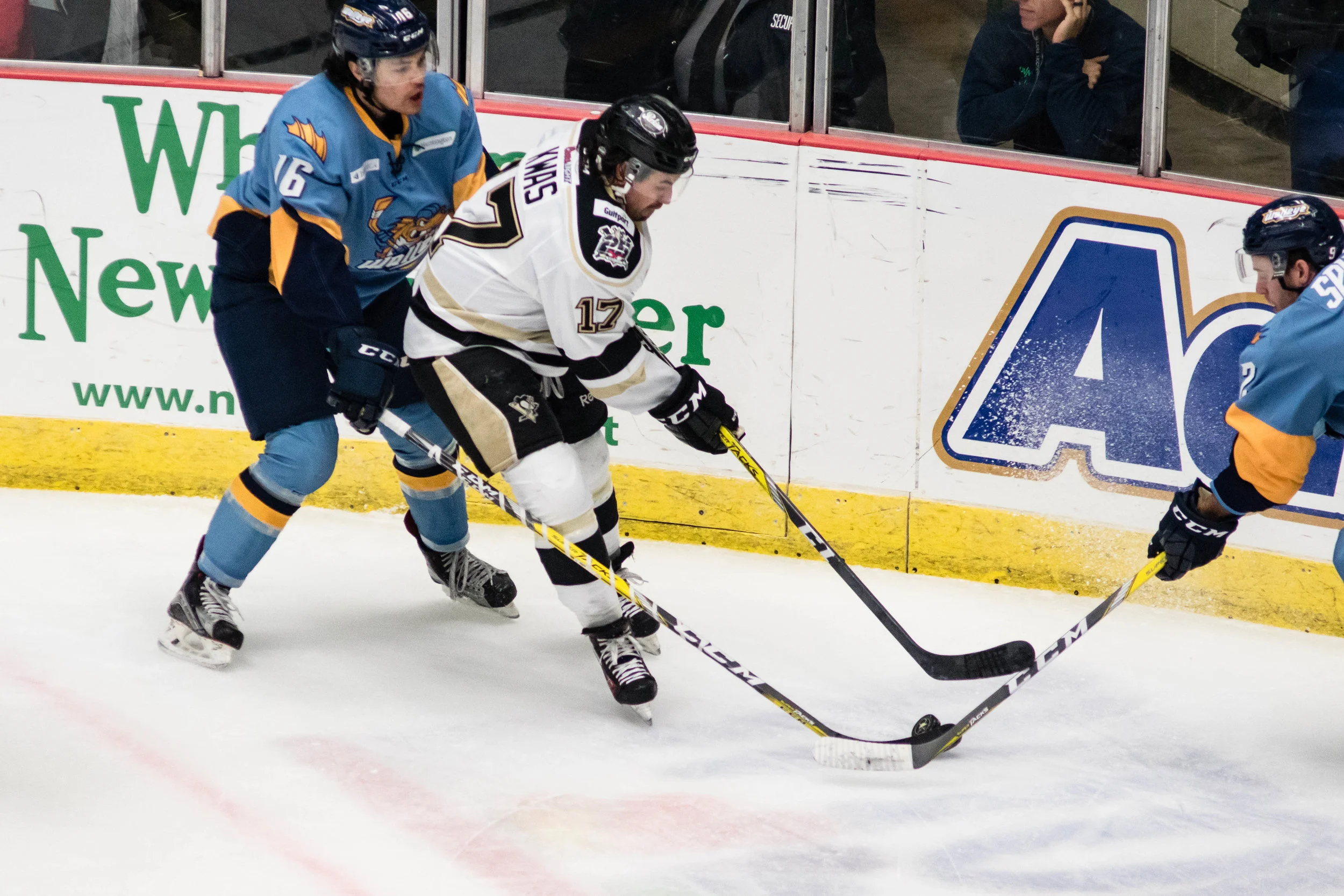 Nailers_Walleye_11-4-16-87.JPG
