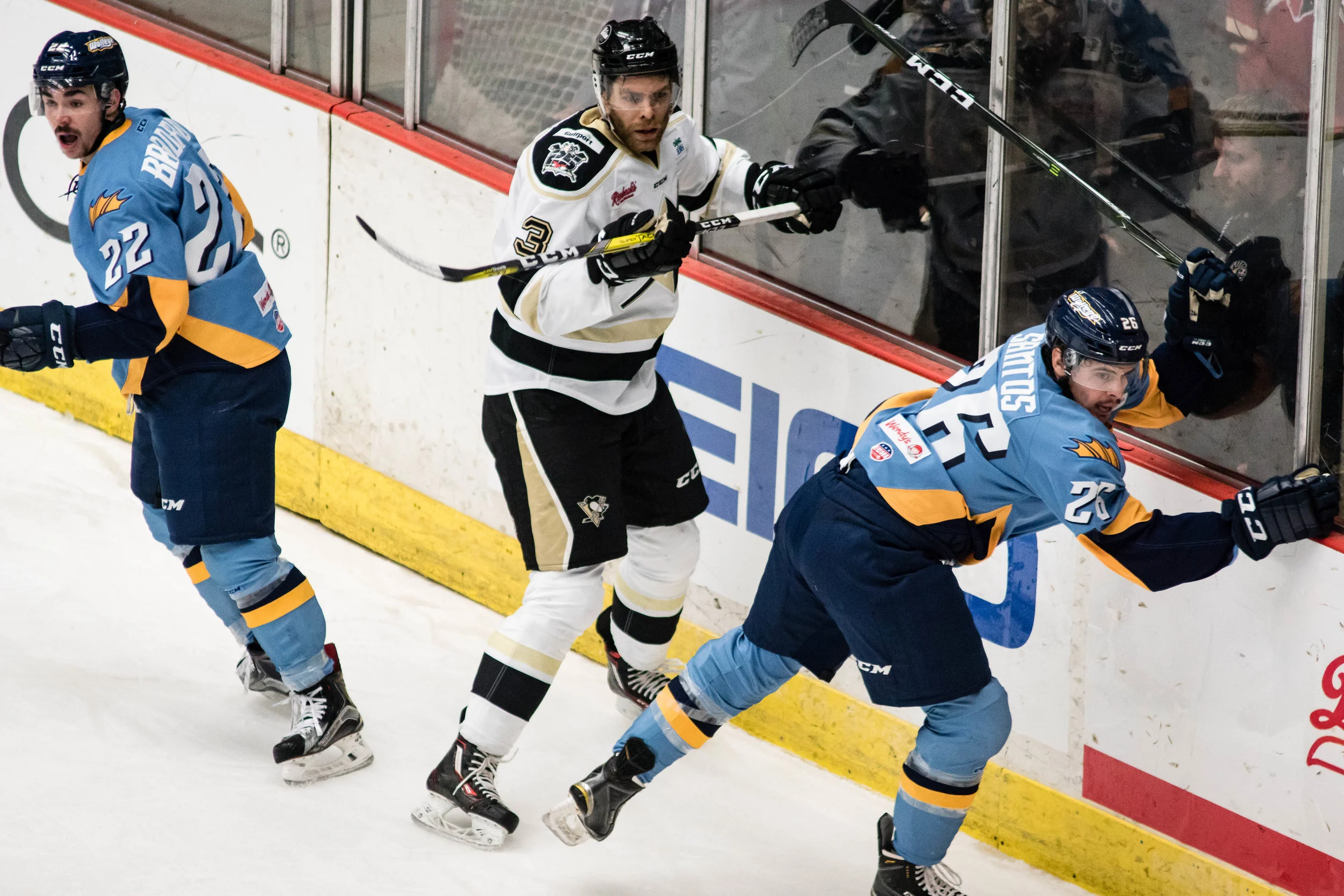 Nailers_Walleye_11-4-16-90.JPG