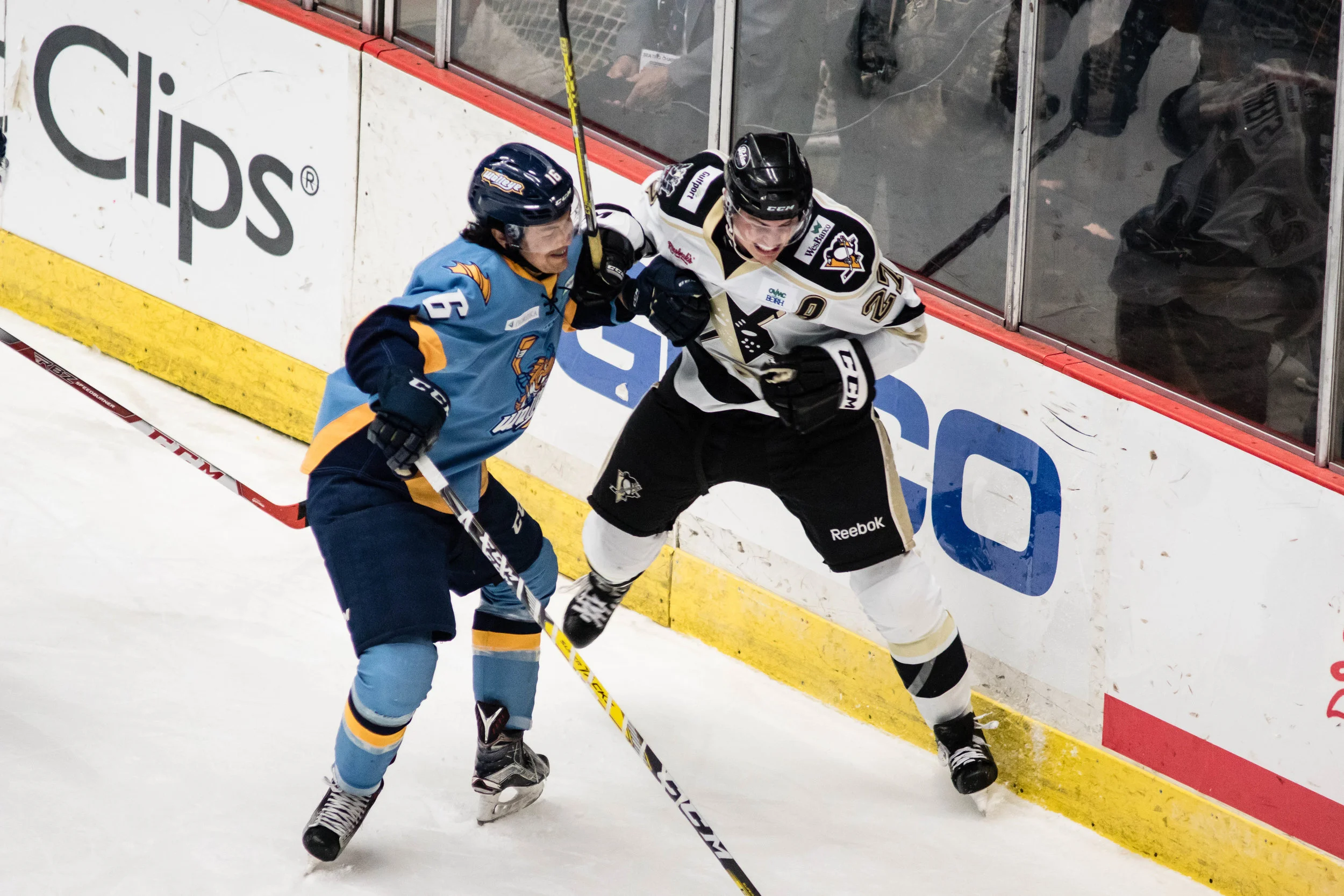 Nailers_Walleye_11-4-16-93.JPG
