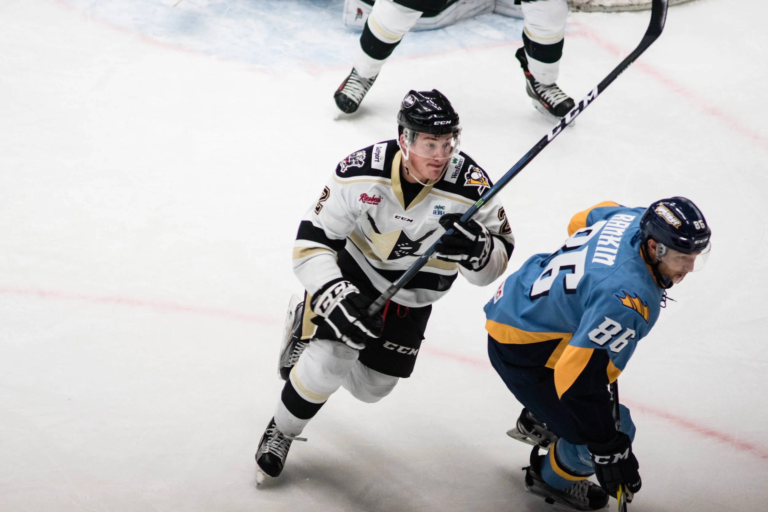 Nailers_Walleye_11-4-16-92.JPG
