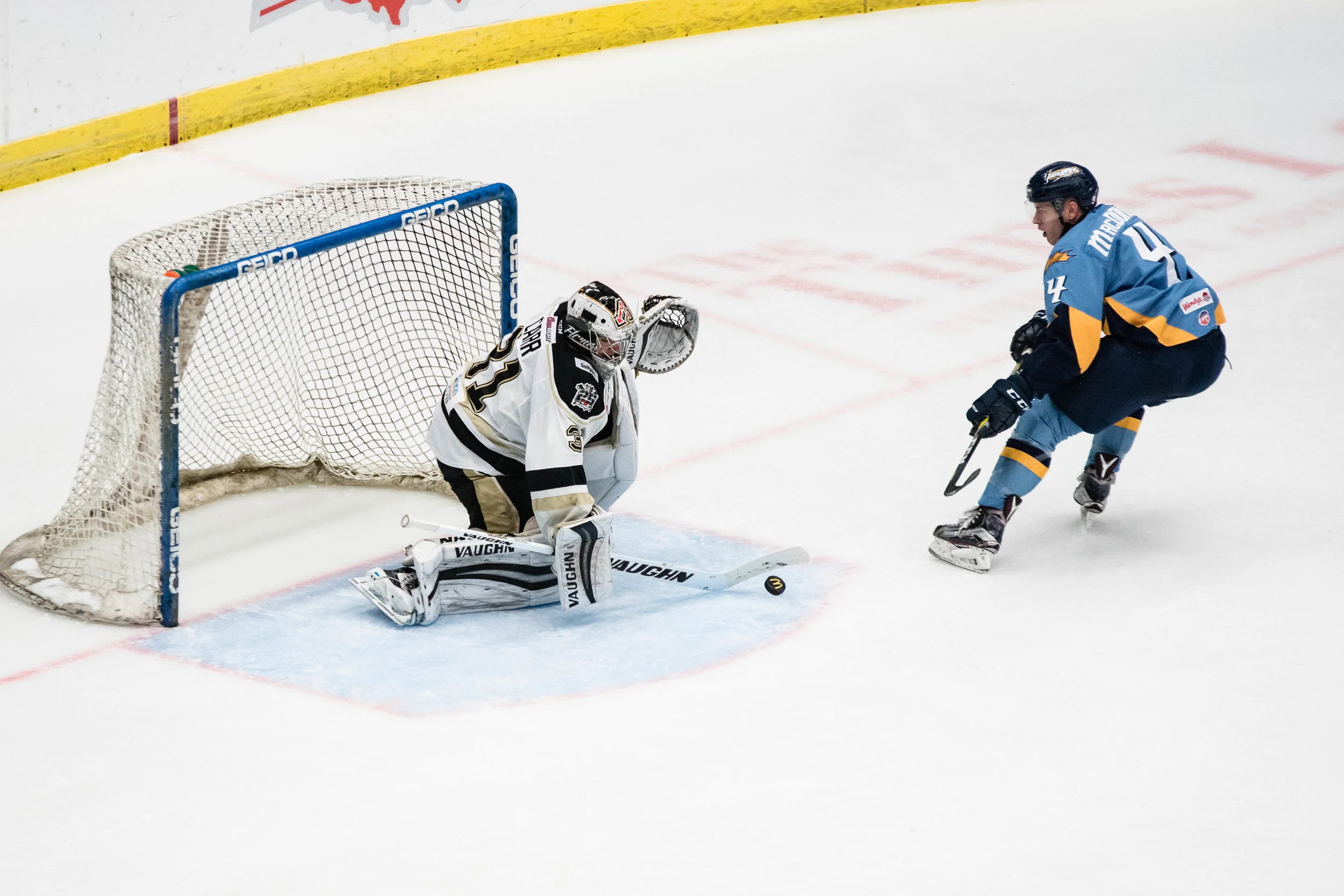 Nailers_Walleye_11-4-16-107.JPG