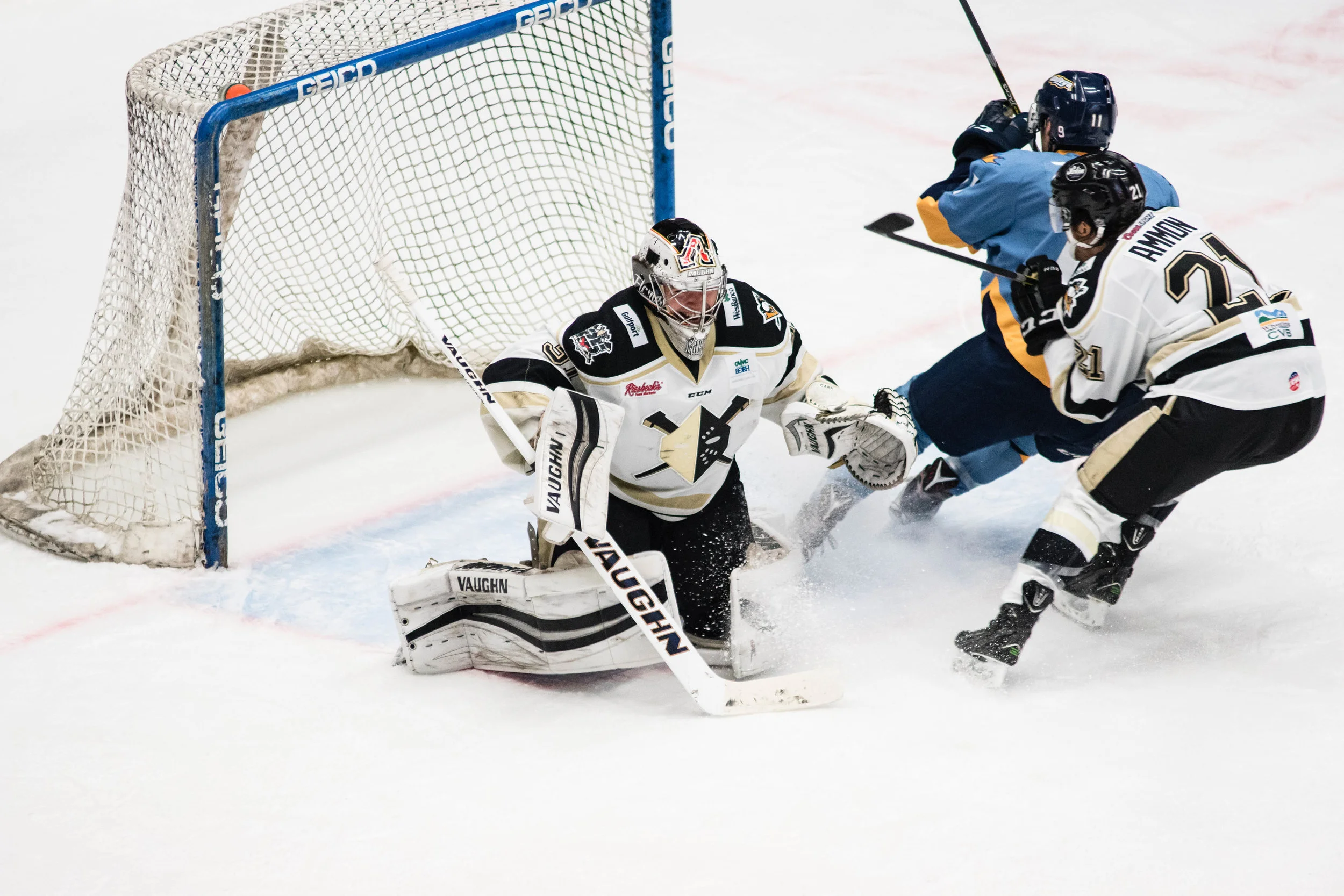 Nailers_Walleye_11-4-16-126.JPG