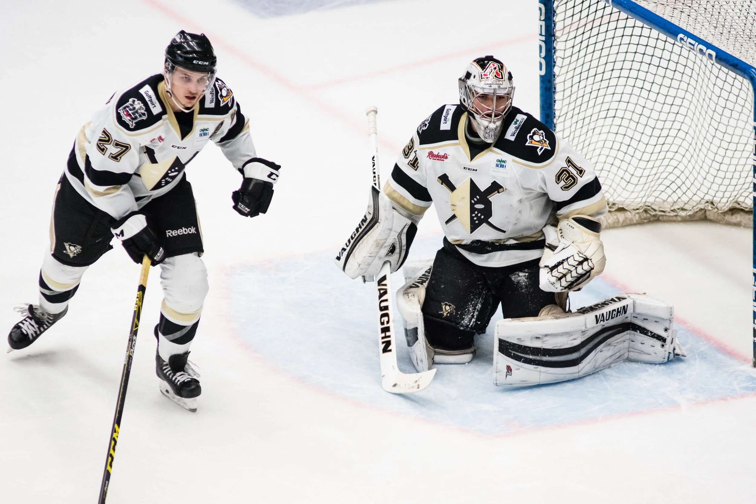 Nailers_Walleye_11-4-16-151.JPG
