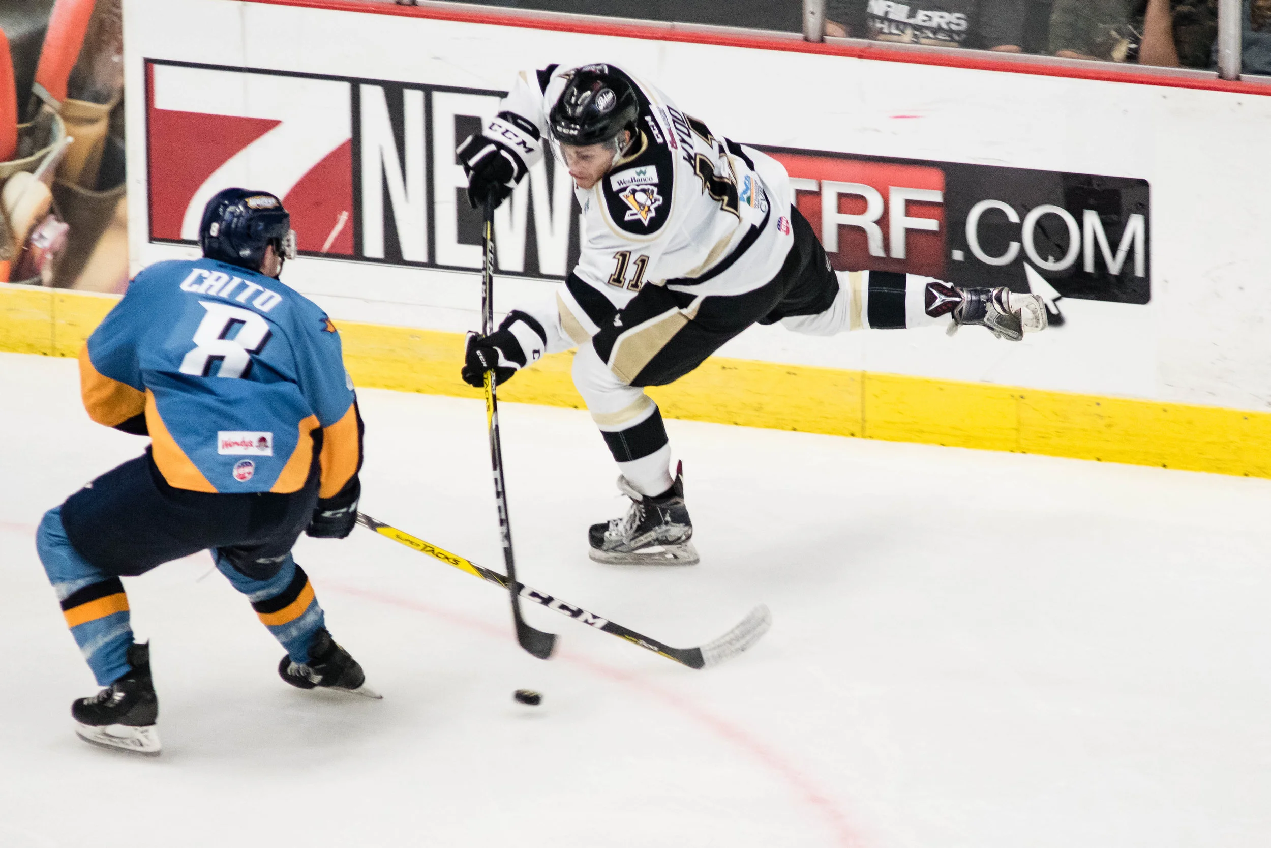 Nailers_Walleye_11-4-16-153.JPG