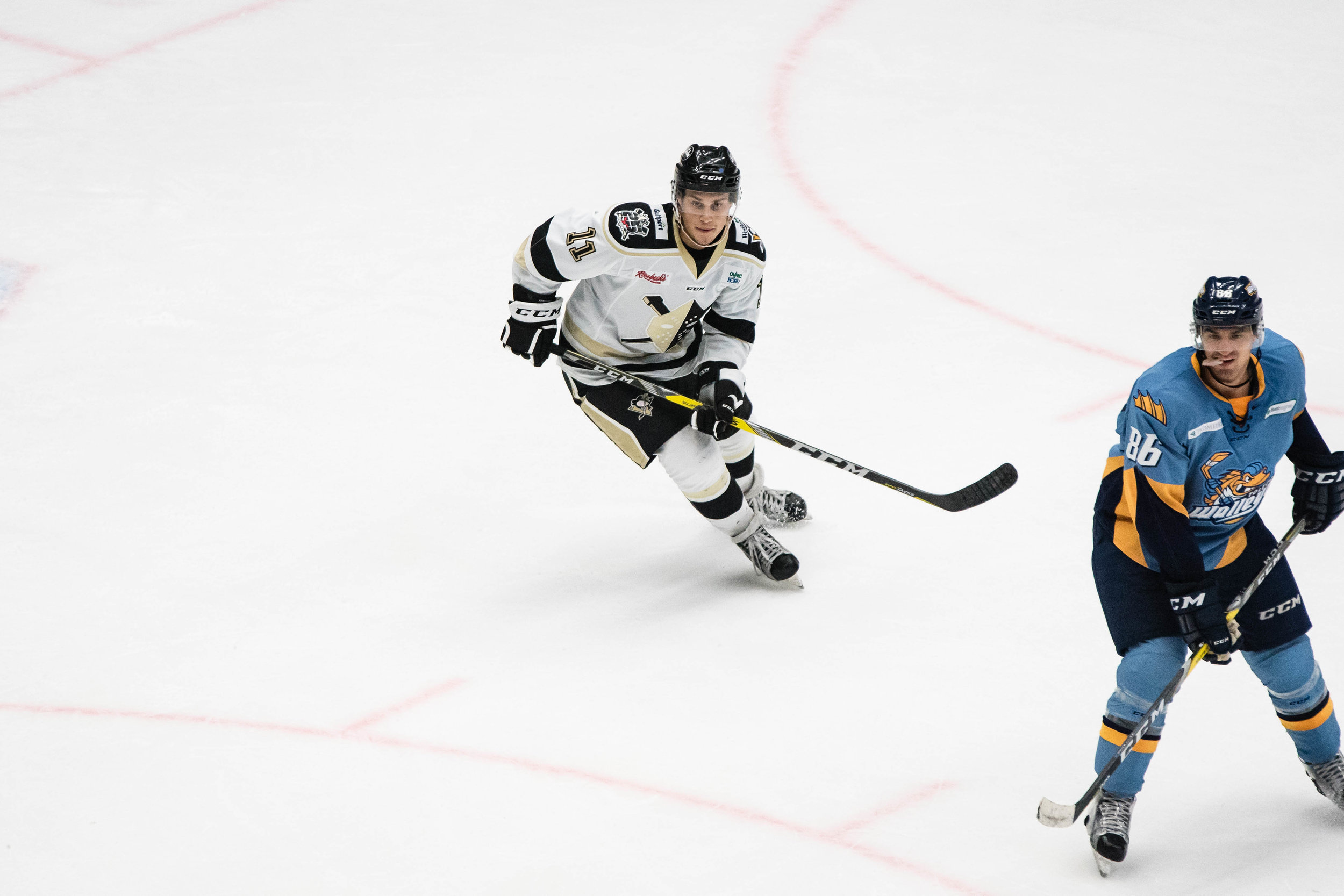Nailers_Walleye_11-4-16-157.JPG