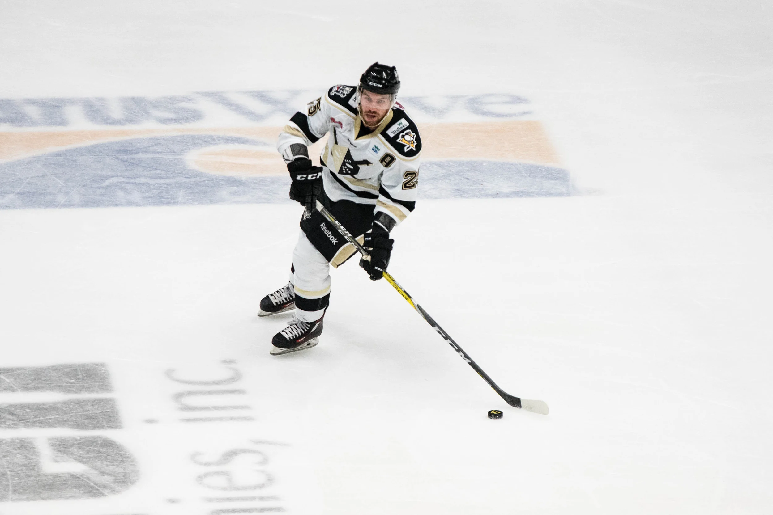 Nailers_Walleye_11-4-16-158.JPG