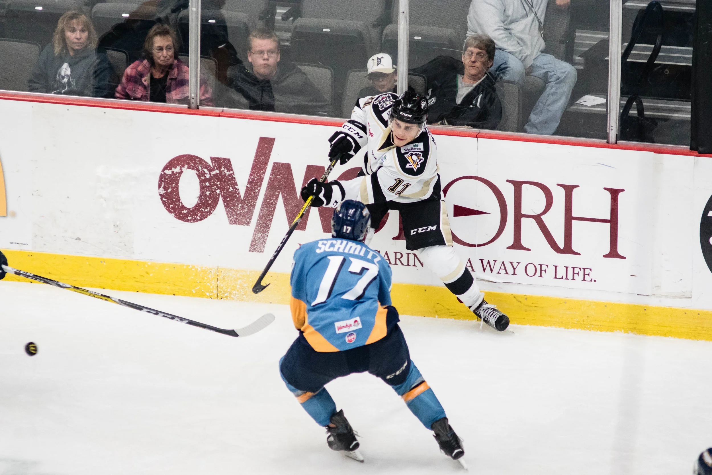 Nailers_Walleye_11-4-16-164.JPG