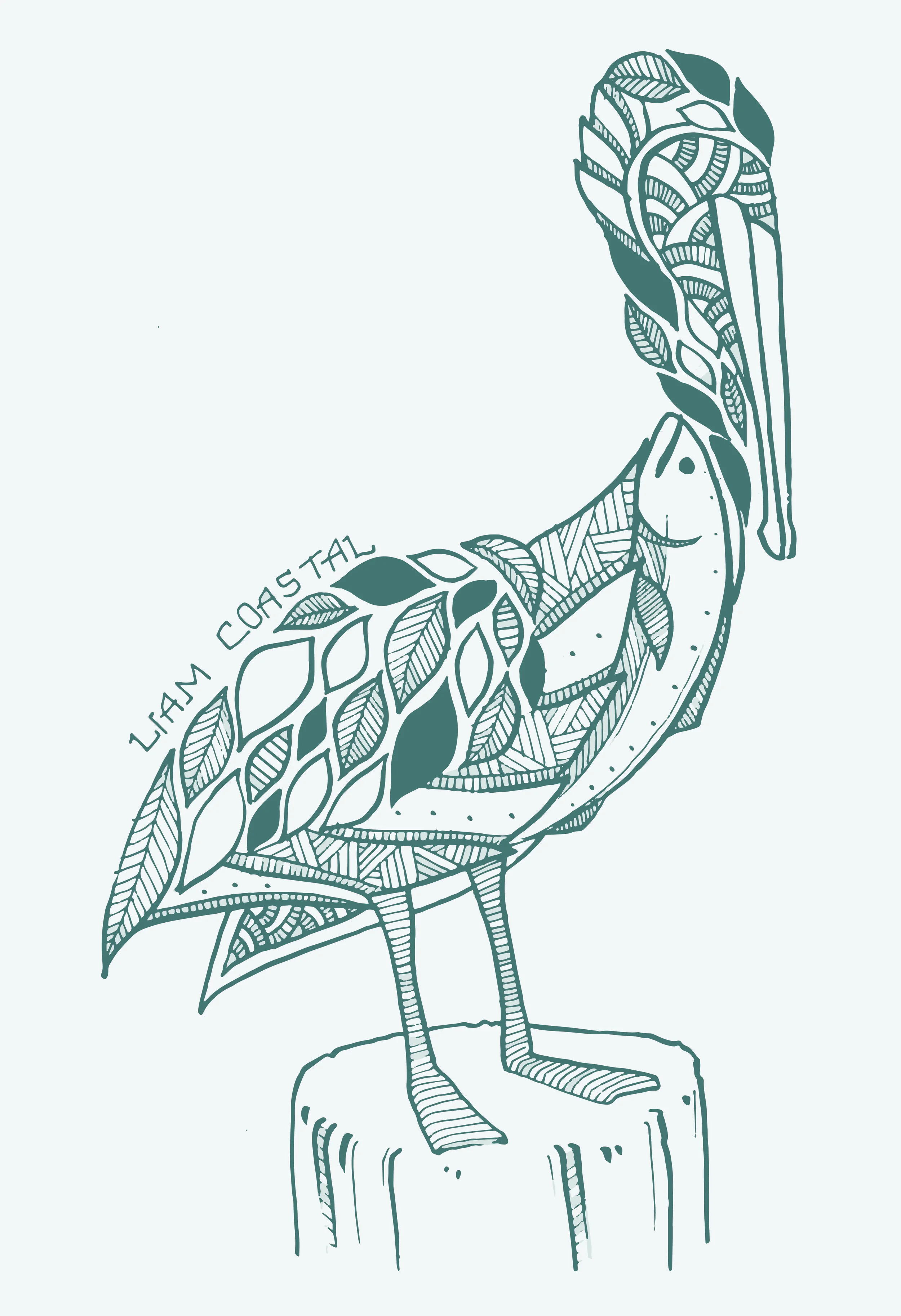 liam coastal pelican-01.jpg
