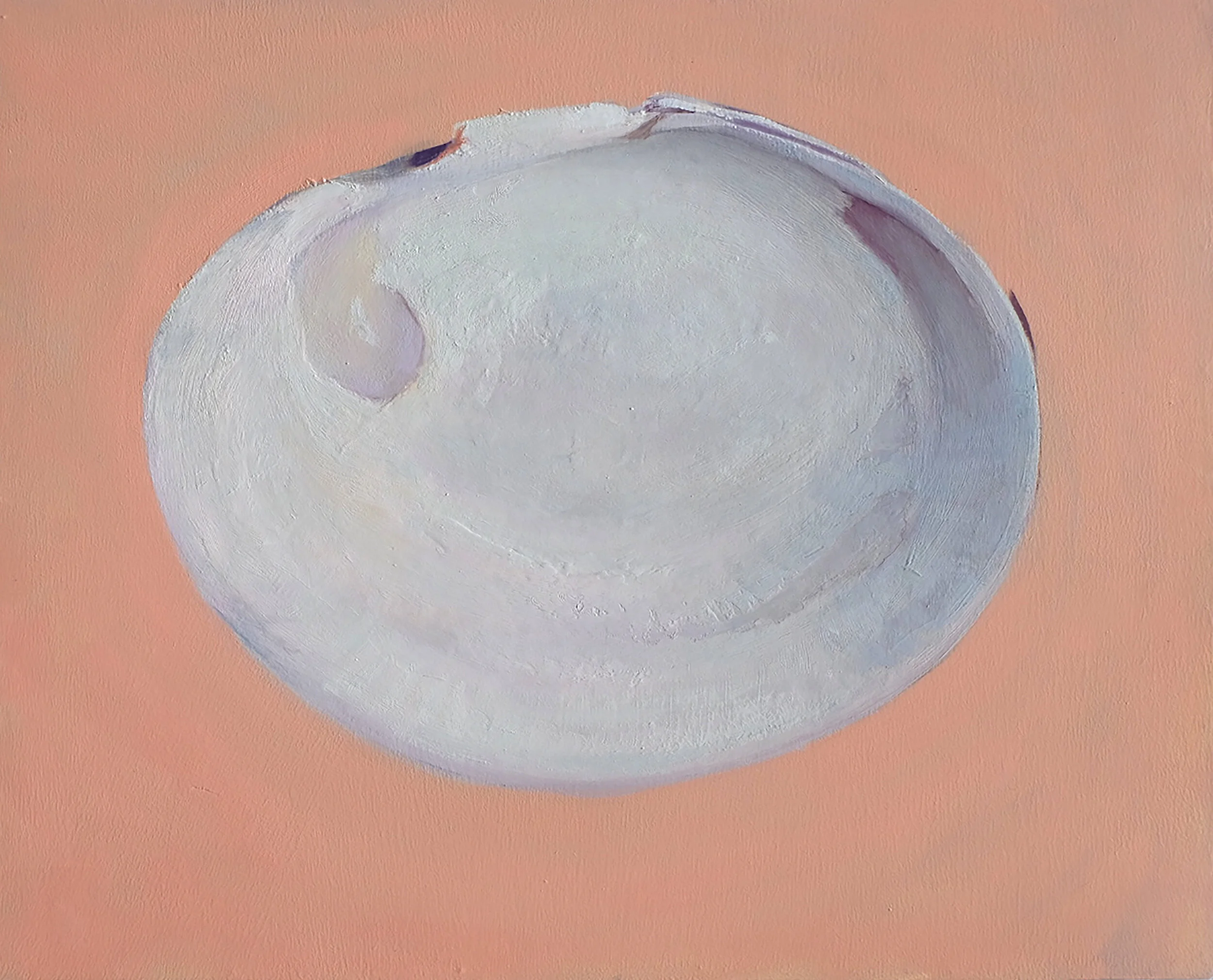 clam.jpg