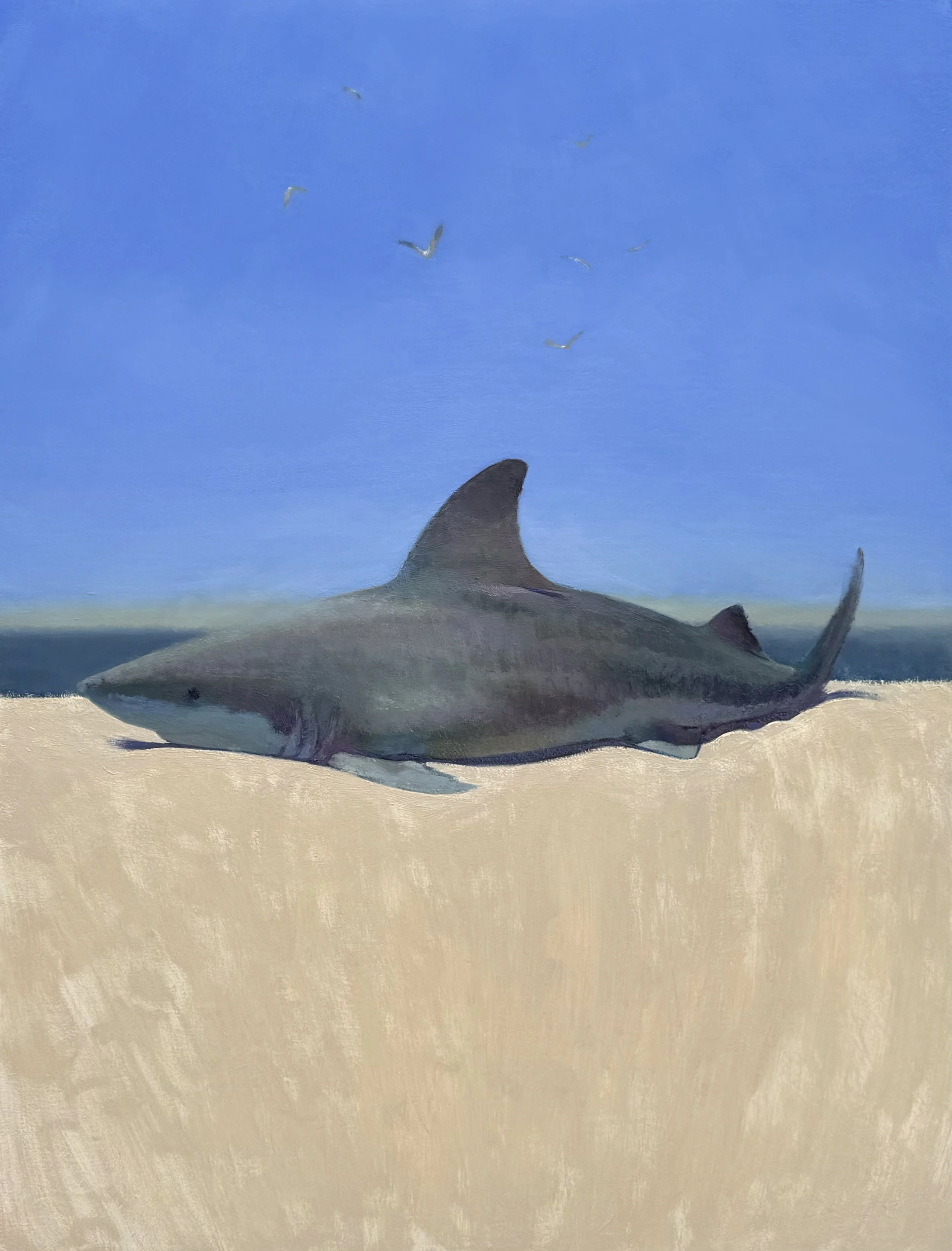 40x30.jpg