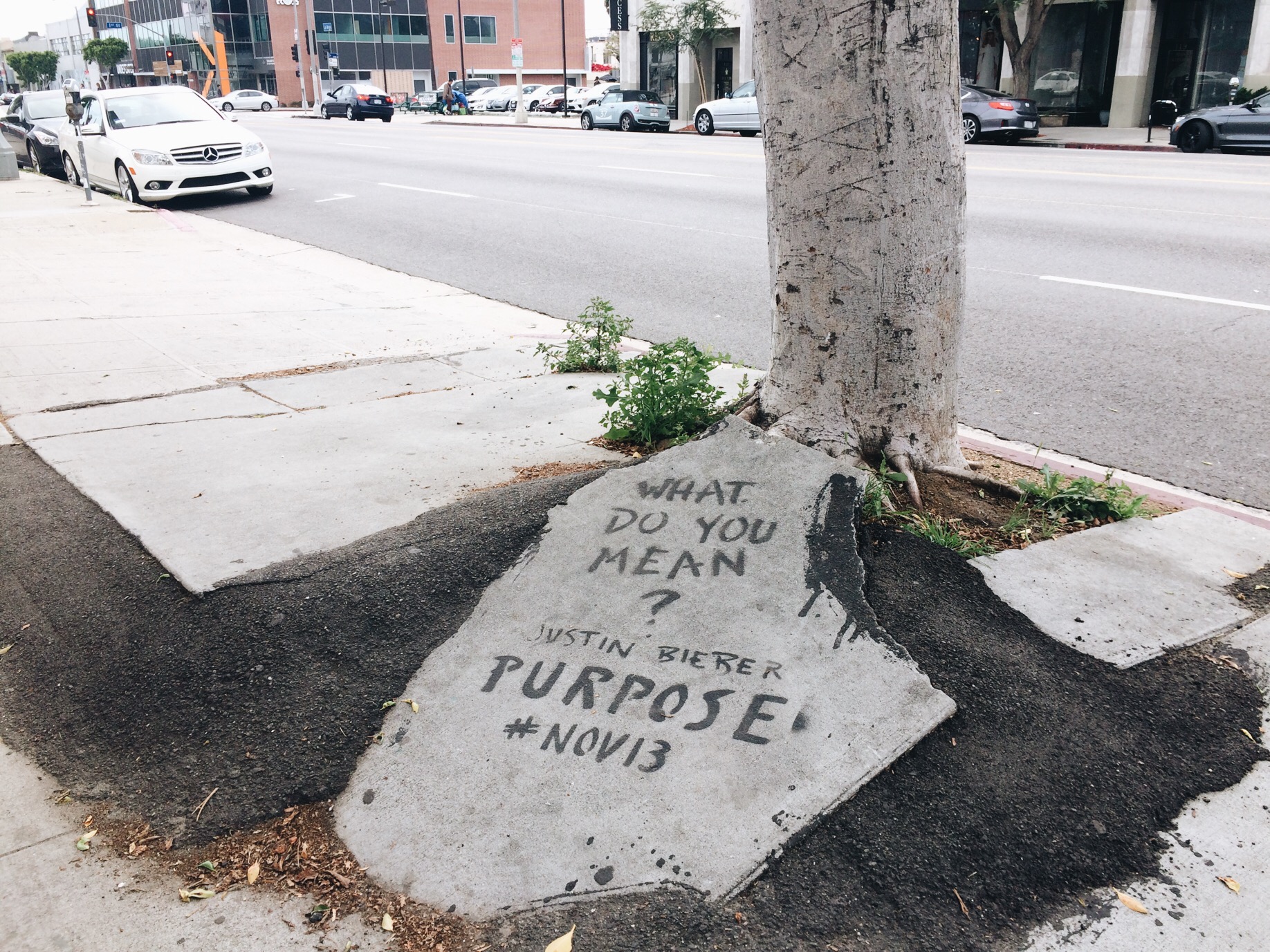 L.A makes me laugh. 