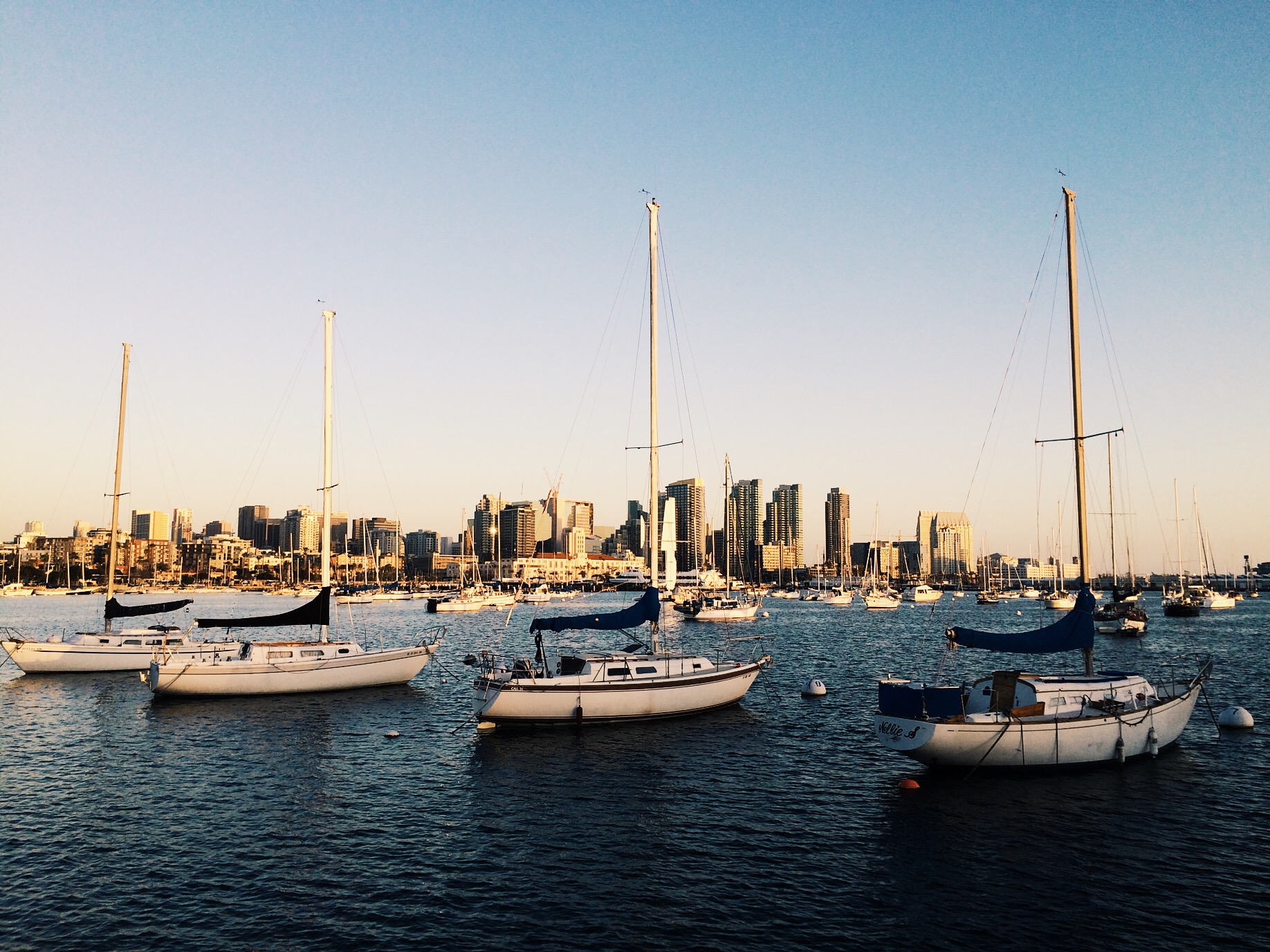 A shot of the city from my run. 