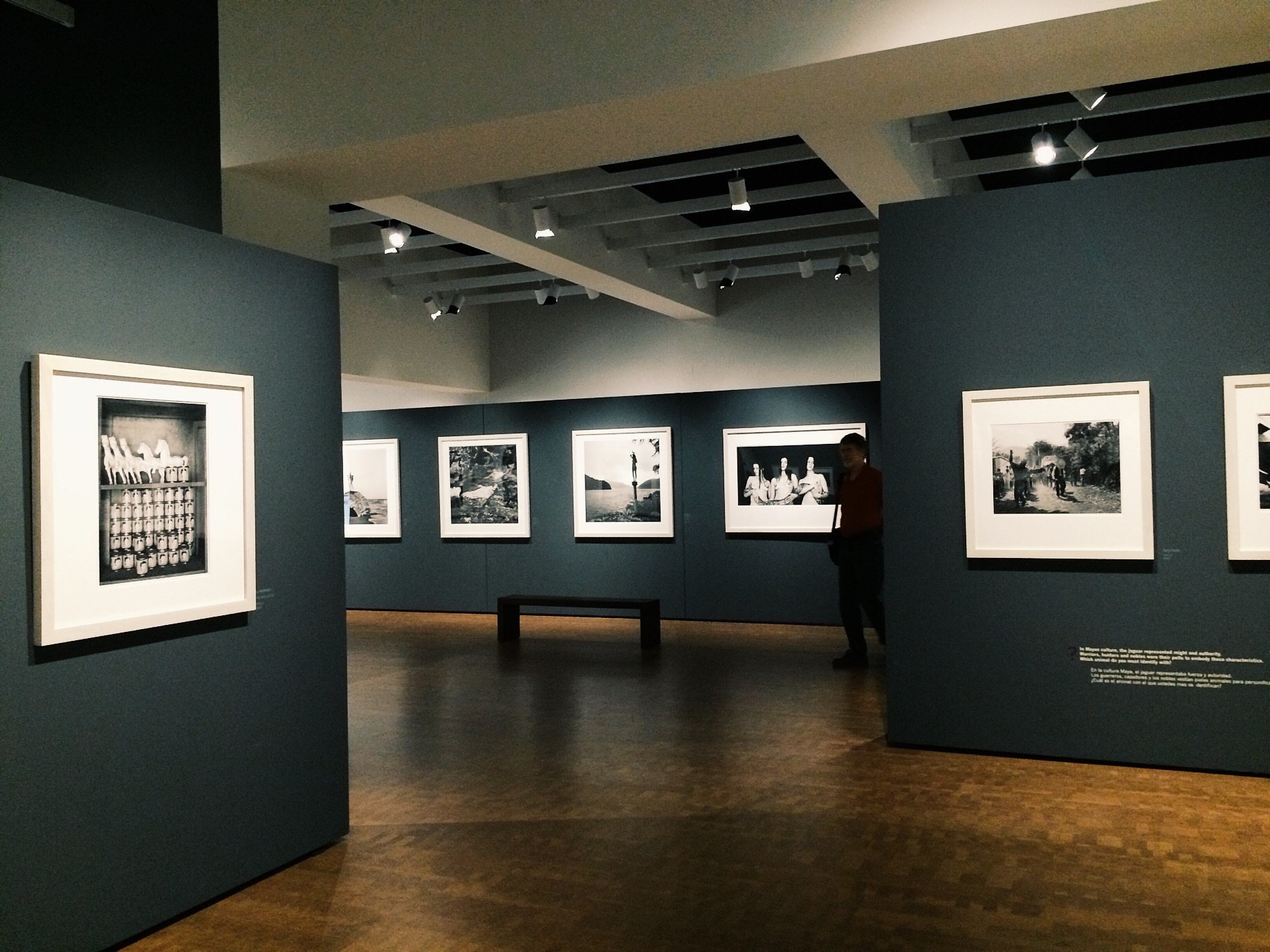 My favorite place to visit, MOPA (Museum of Photographic Arts). 
